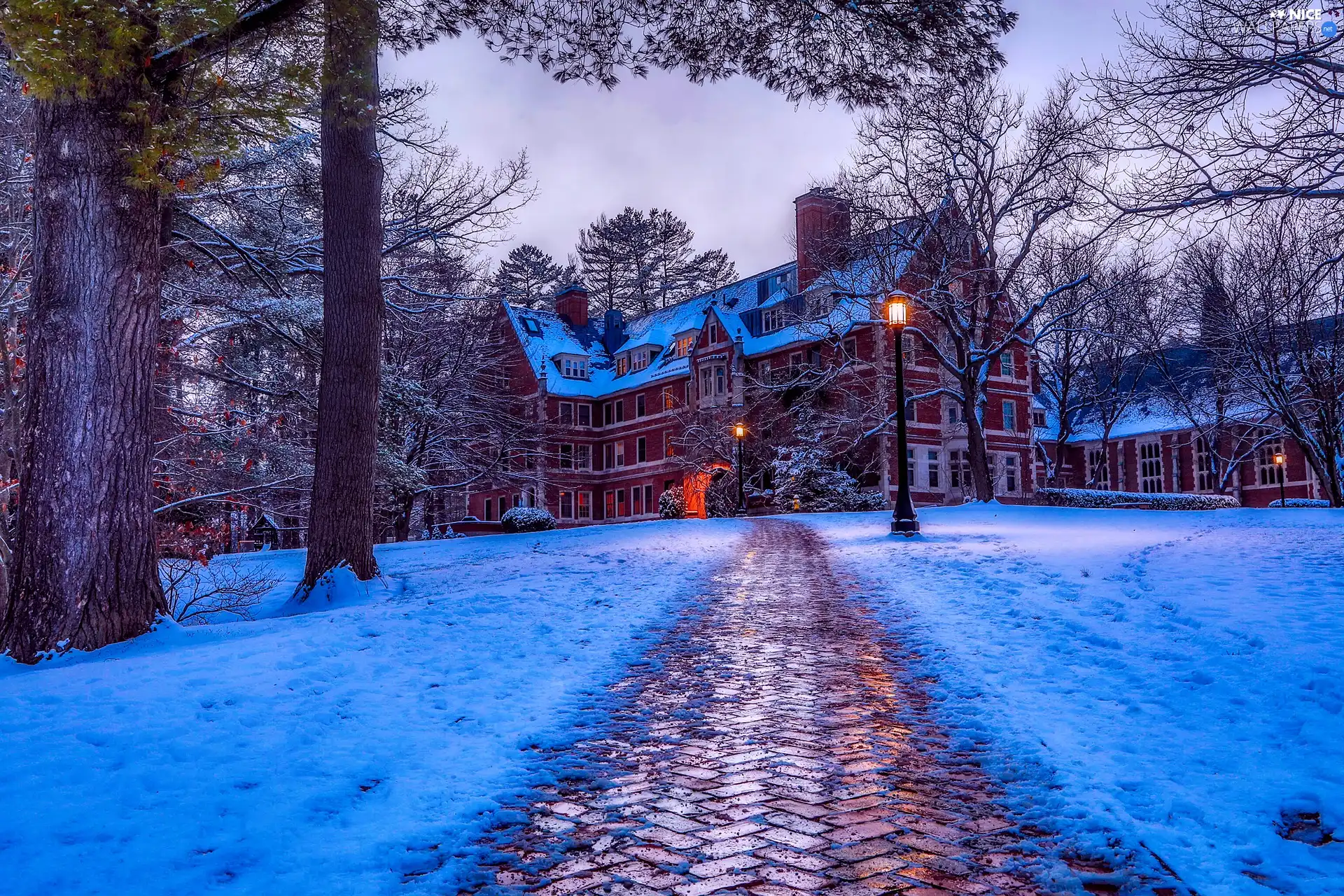 trees, Houses, Way, lanterns, winter, viewes, snow