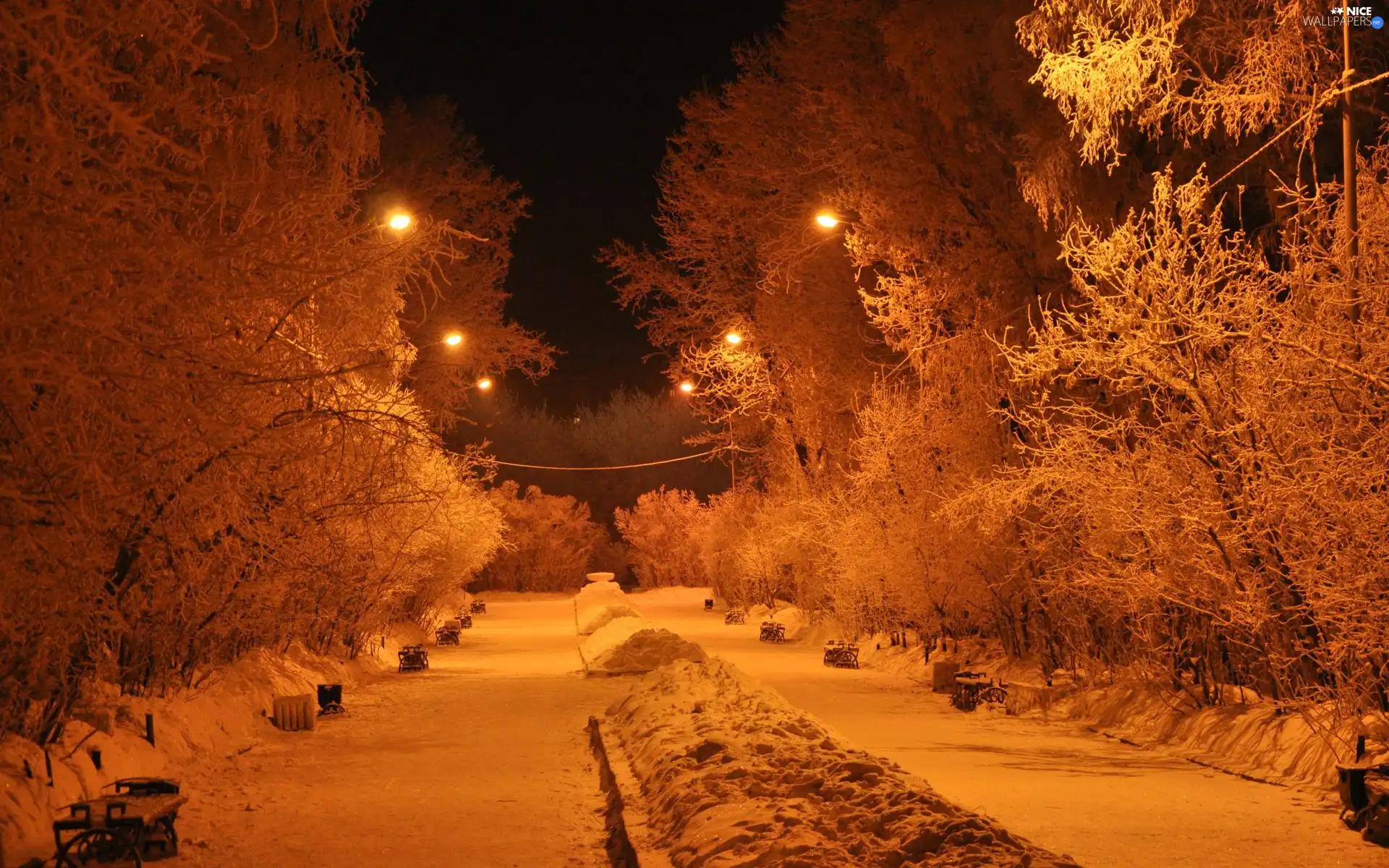 lanterns, winter, trees, viewes, Park