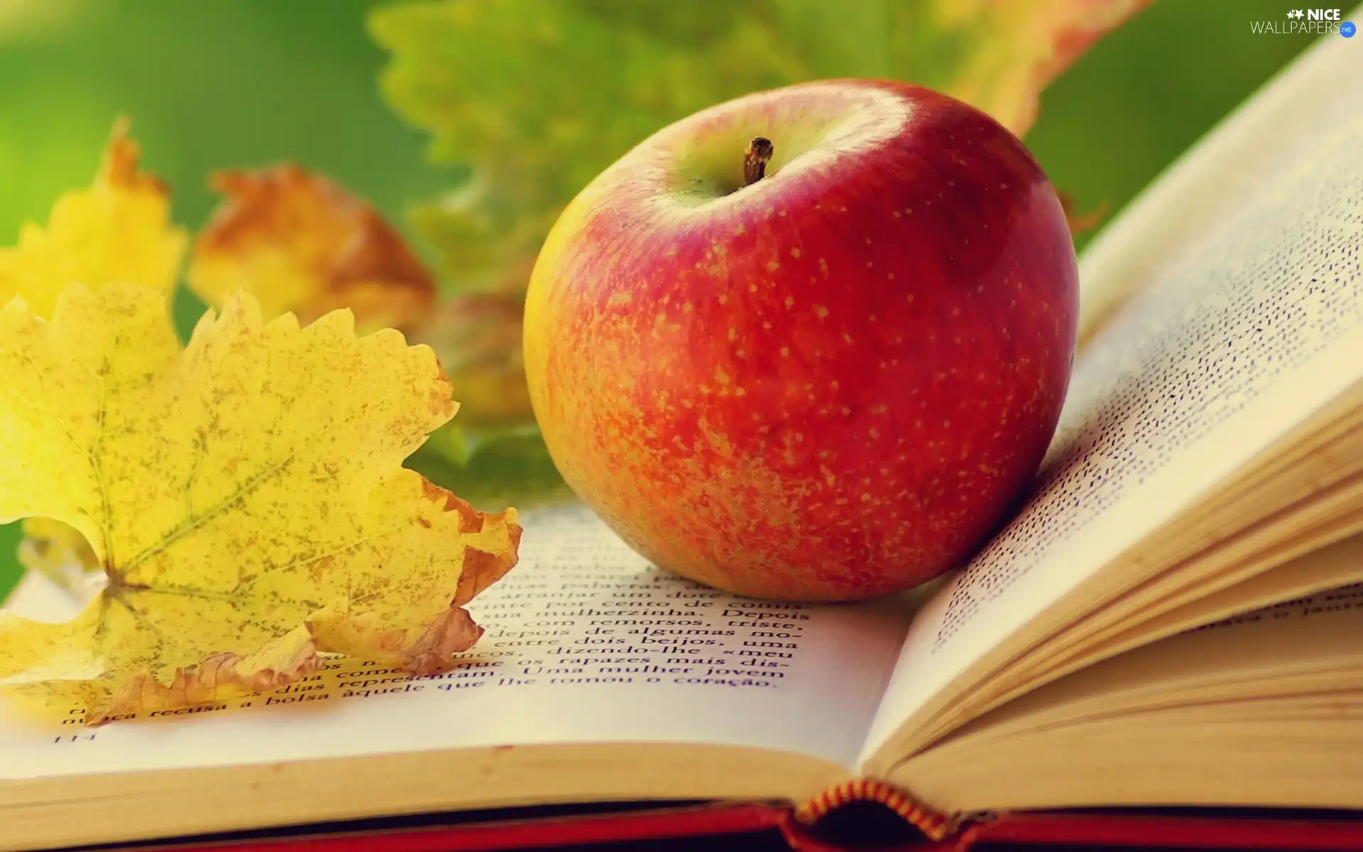 Apple, Autumn, leaf, Book