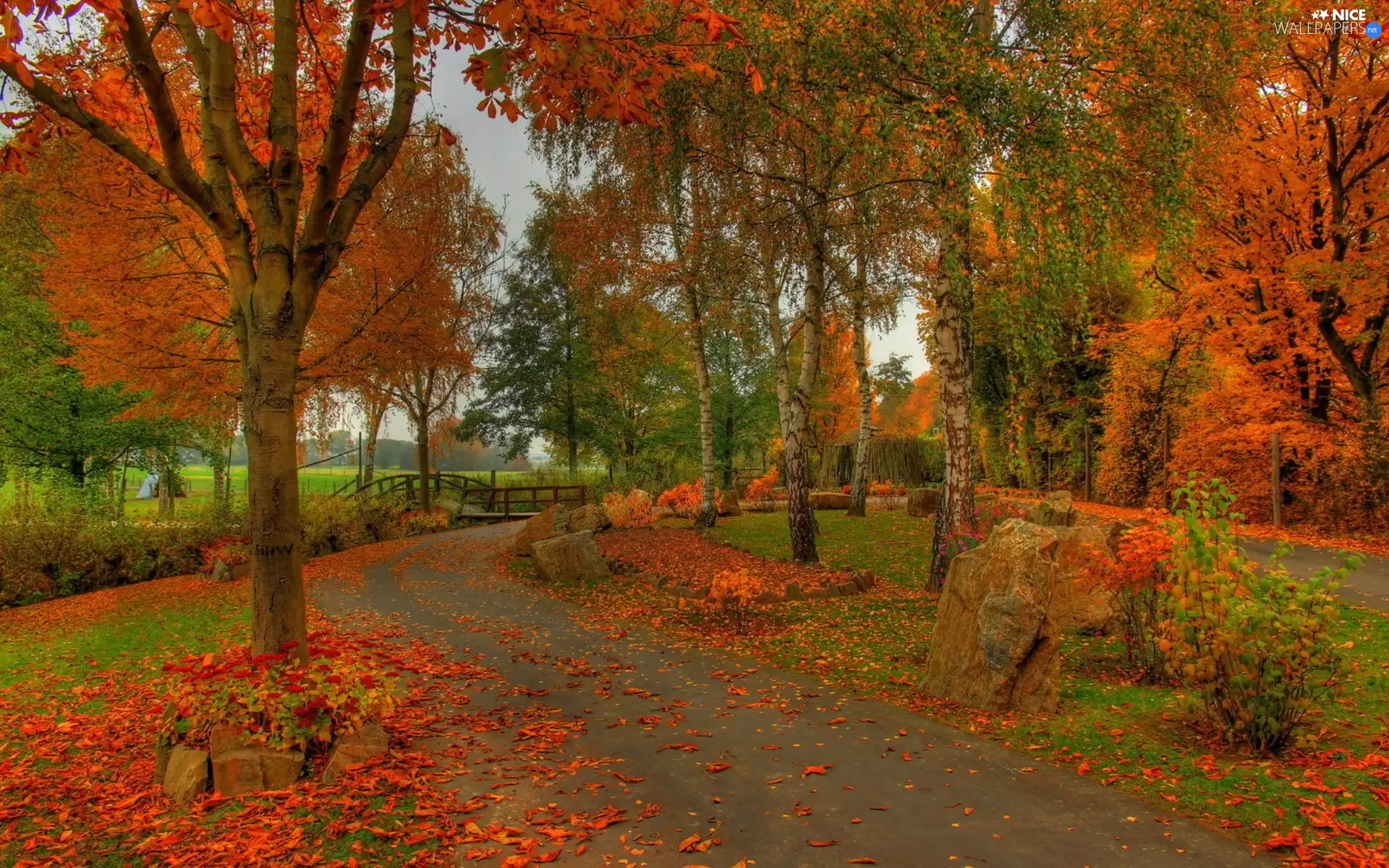 bridges, Park, Leaf, autumn, alley, River