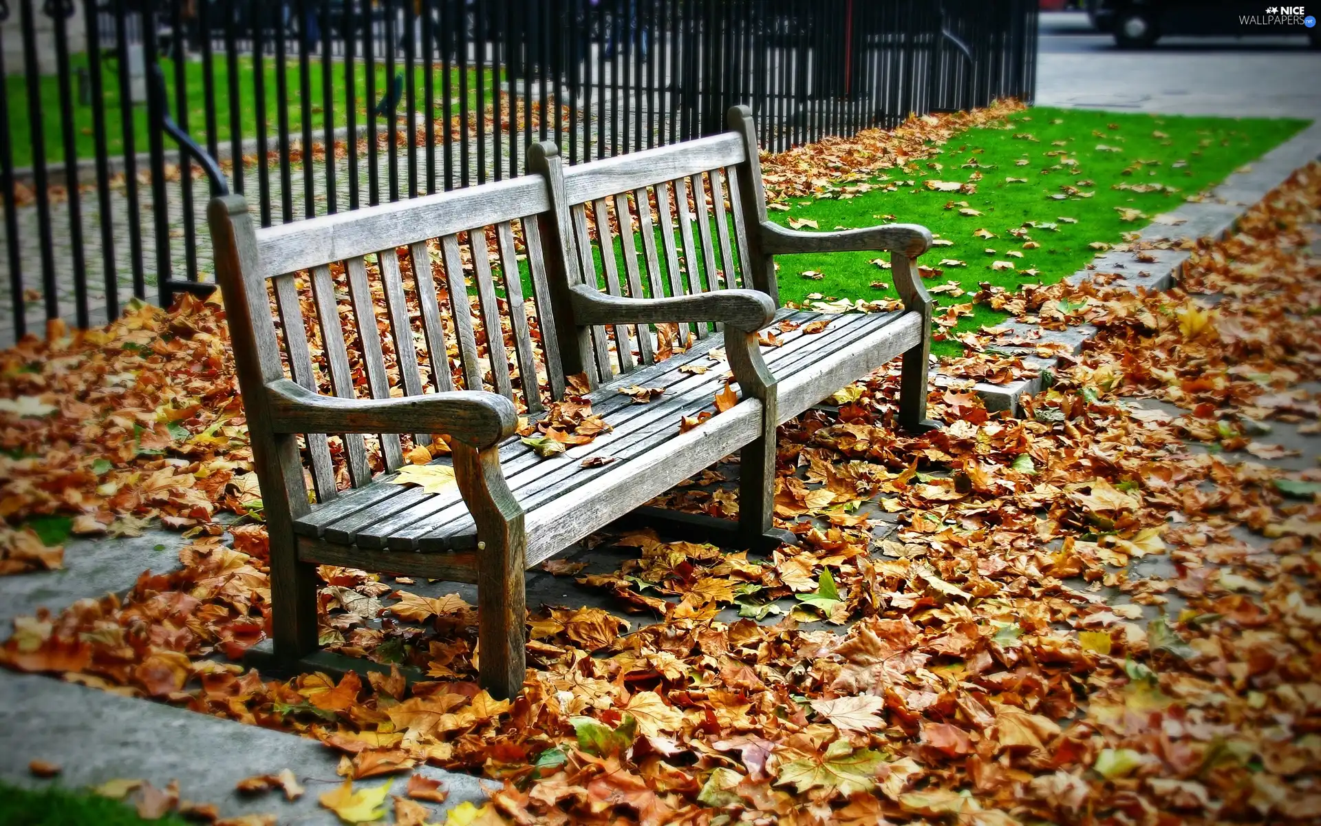 Leaf, Bench, Autumn