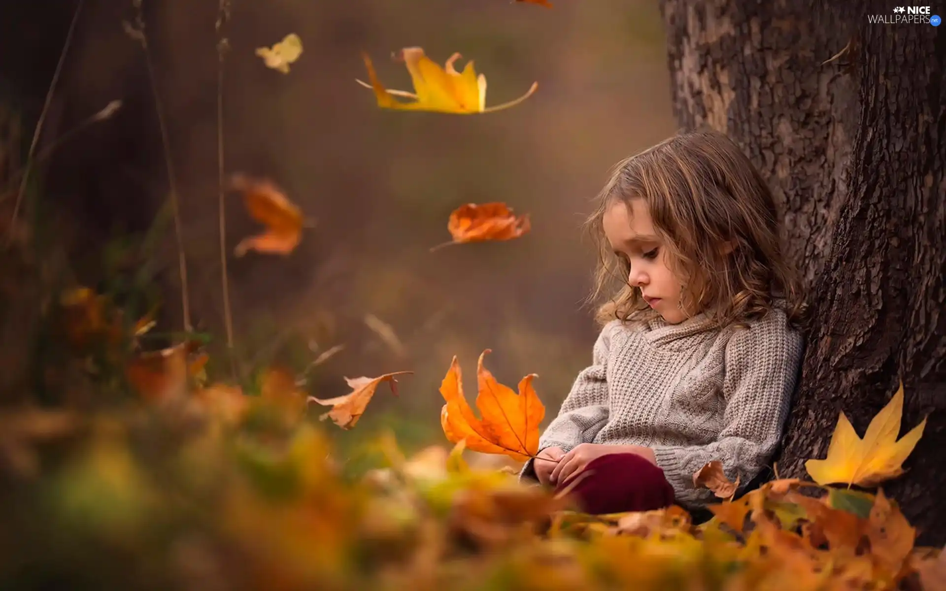 Leaf, girl, autumn