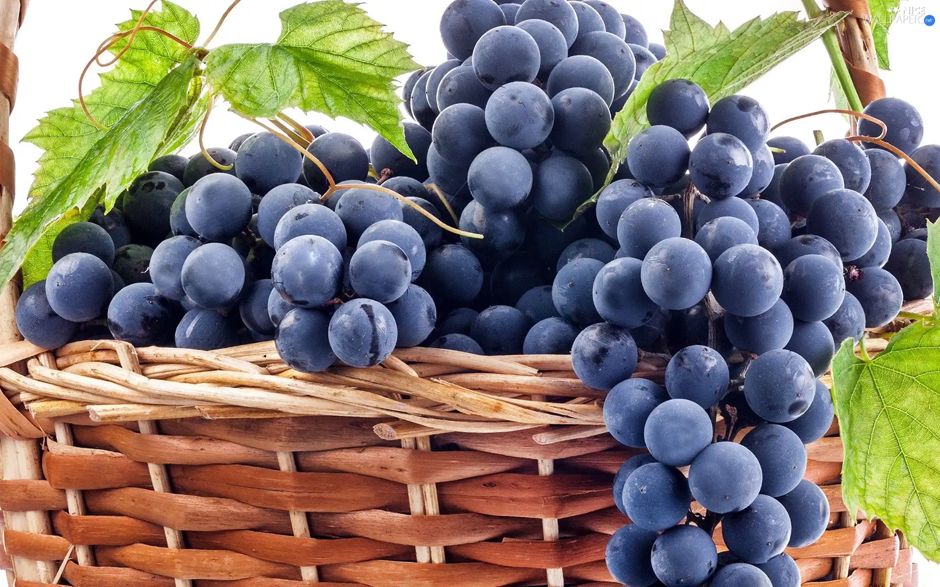Leaf, Grapes, basket