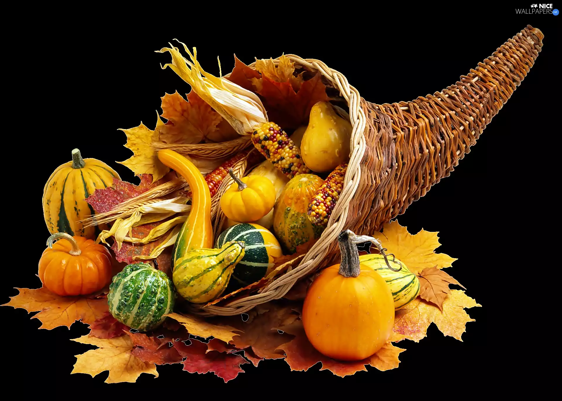 Leaf, pumpkin, basket