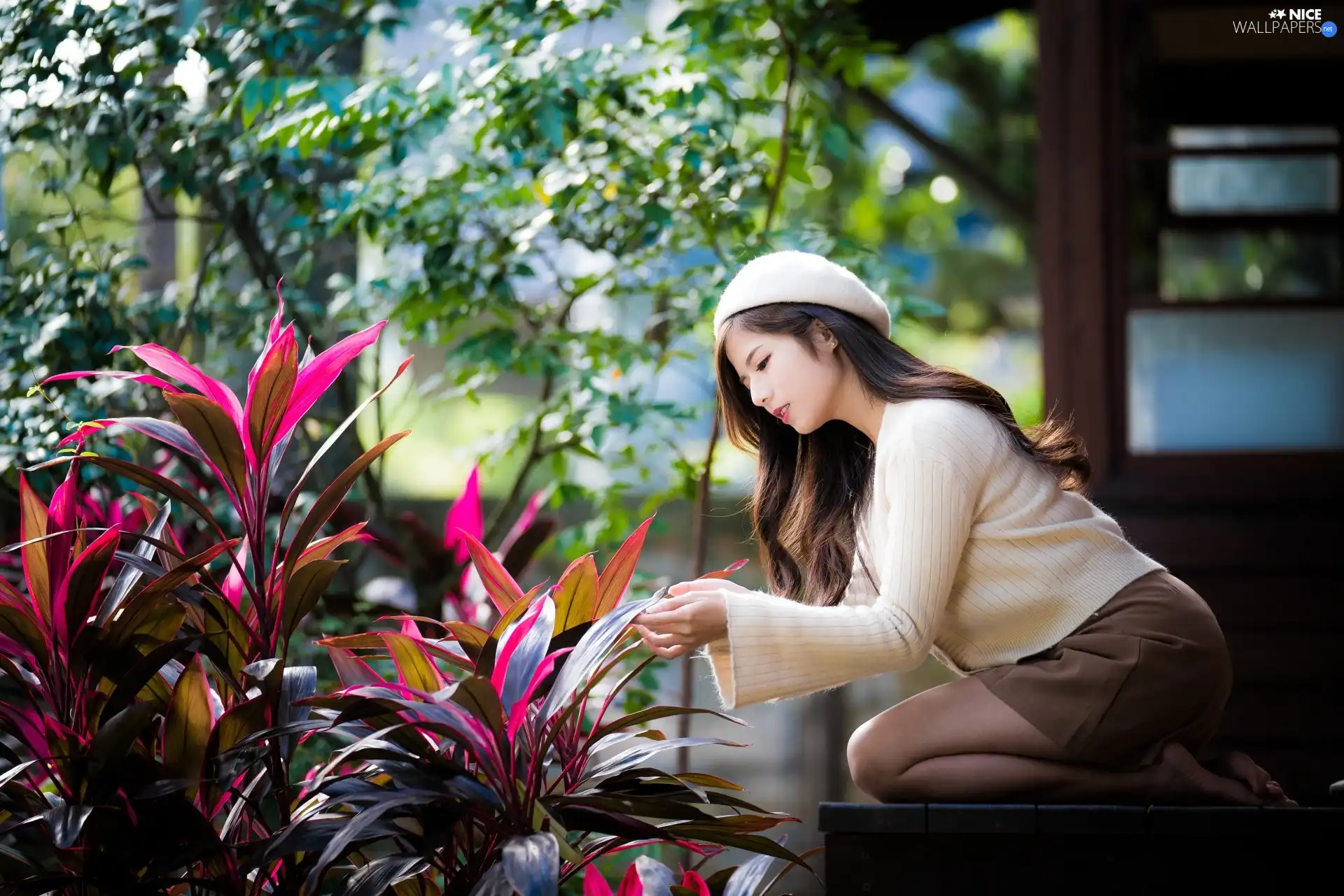 sweater, girl, Plants, Leaf, beret, beige