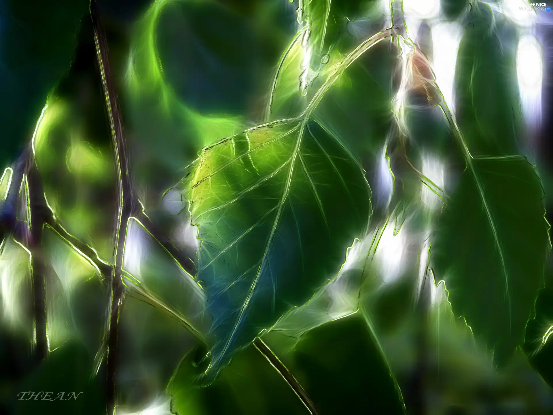 Fractalius, birch-tree, Leaf