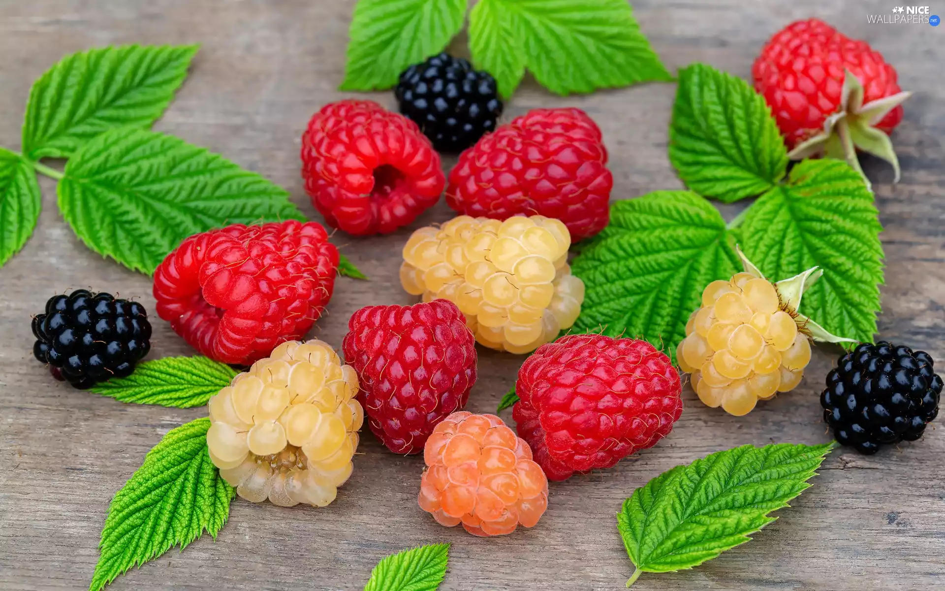 Leaf, raspberries, blackberries