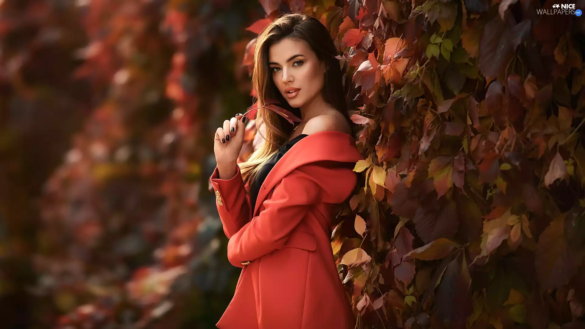 Women, longhaired, Cloak, Leaf, Red, light brown