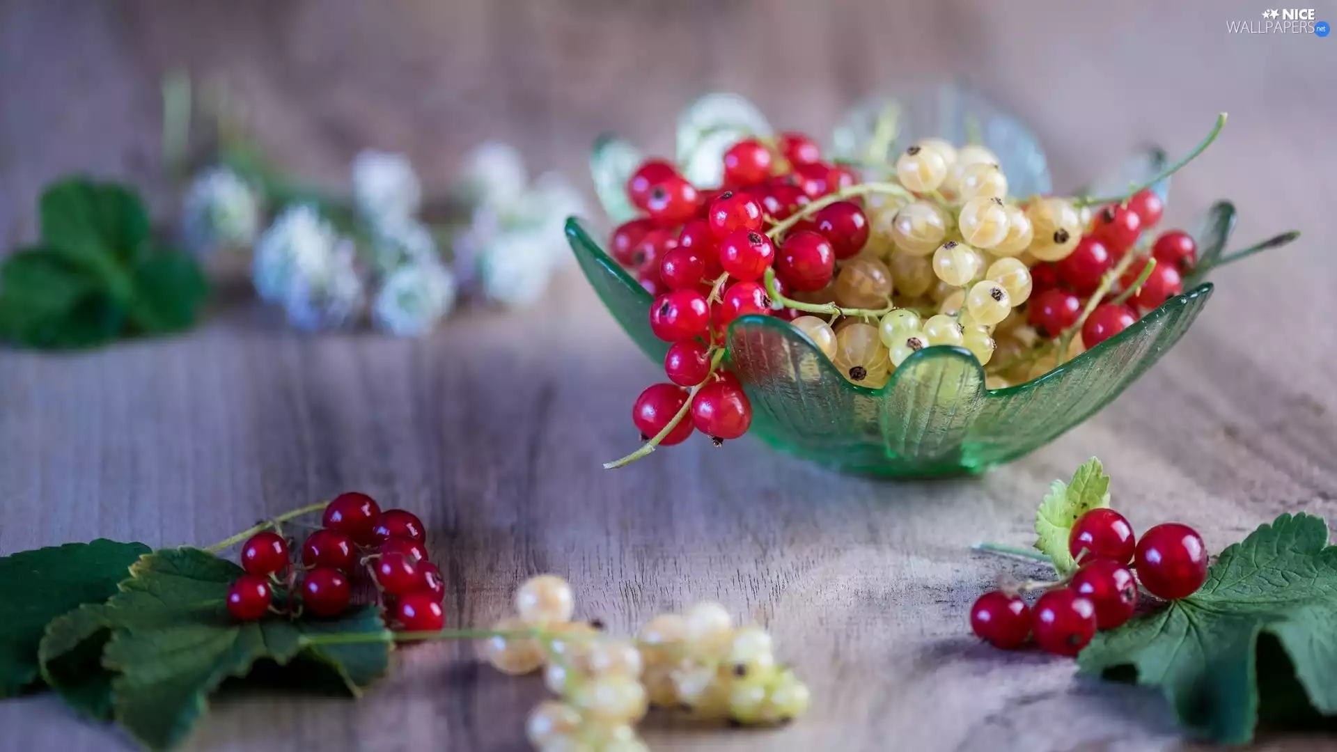 boarding, Leaf, Glass, bowl, currants