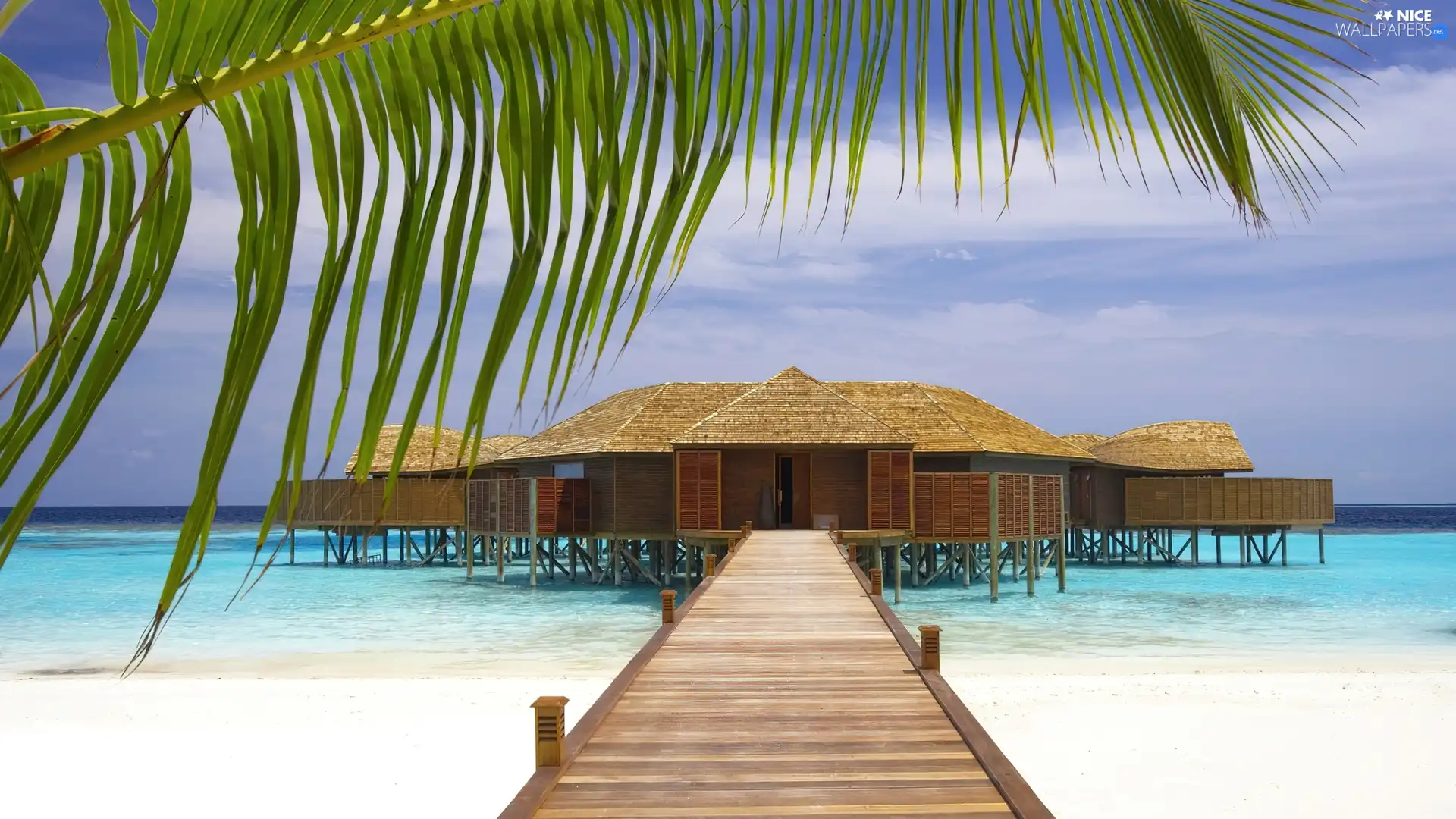 Houses, sea, Leaf, Platform