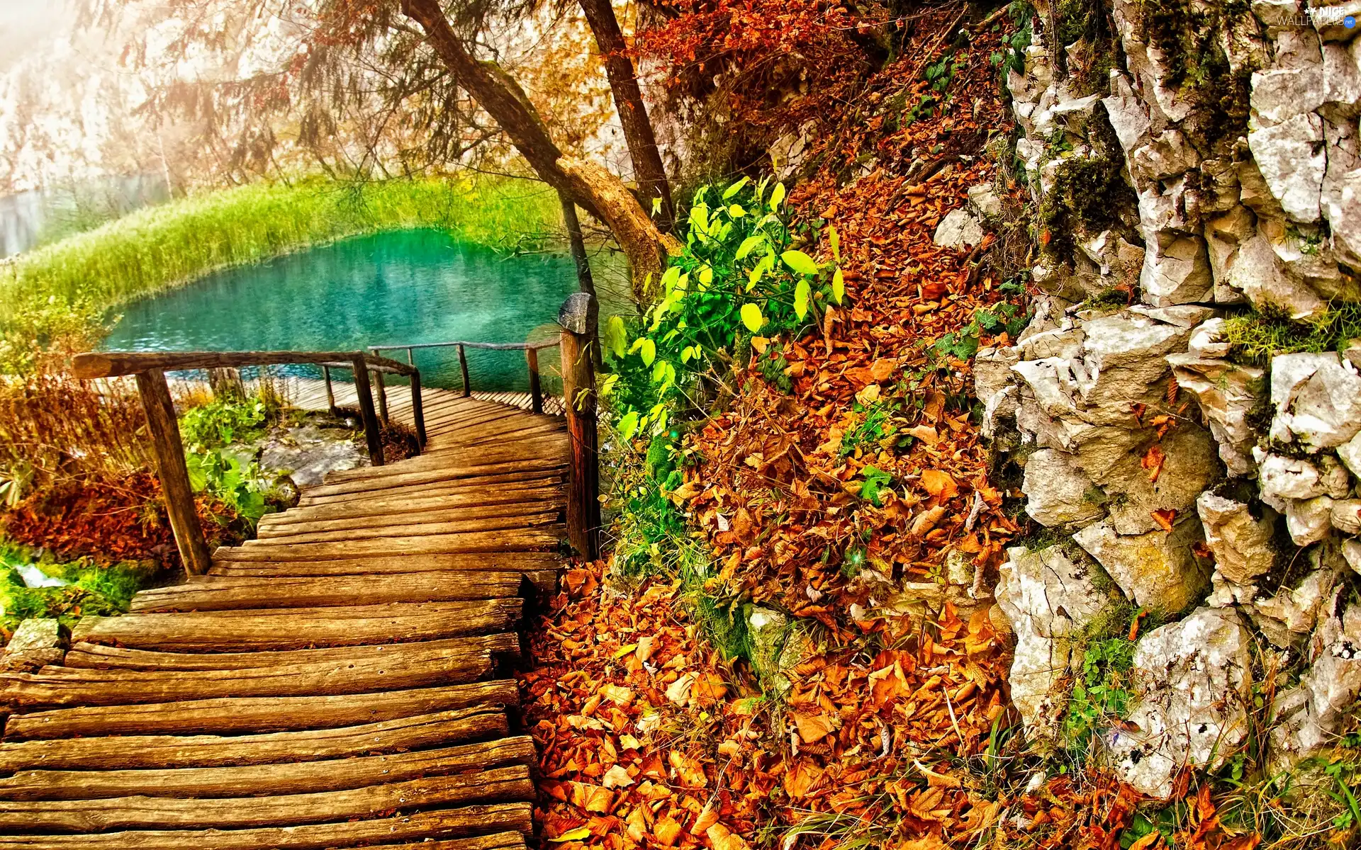 lake, footbridge, Leaf, Wooden