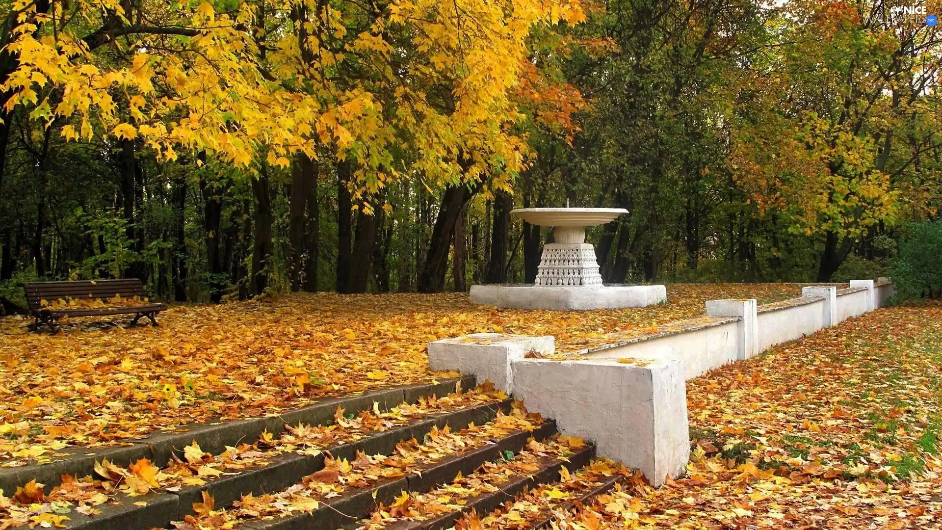 Park, Bench, Leaf, autumn