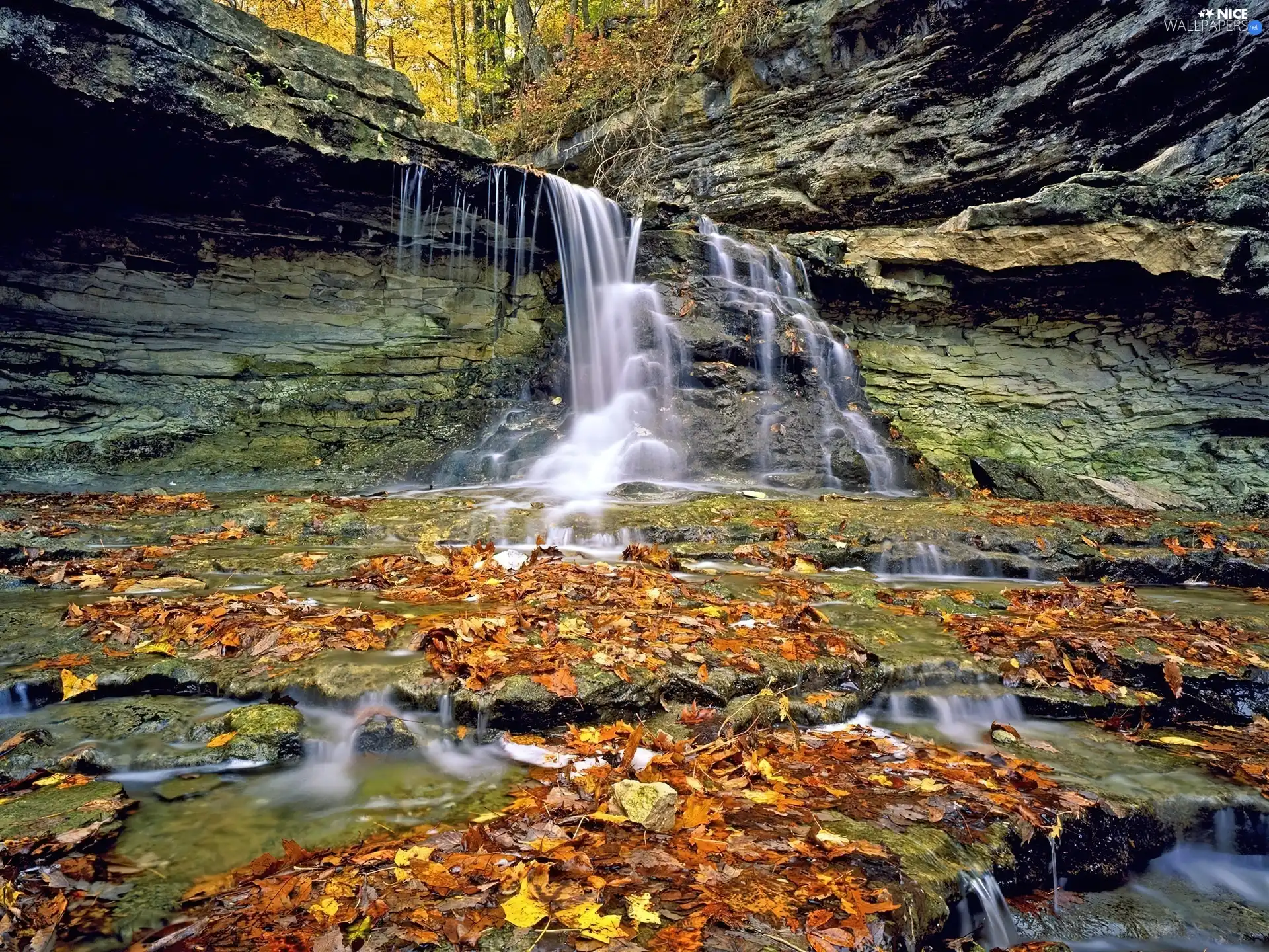 rocks, Yellow, Leaf, waterfall