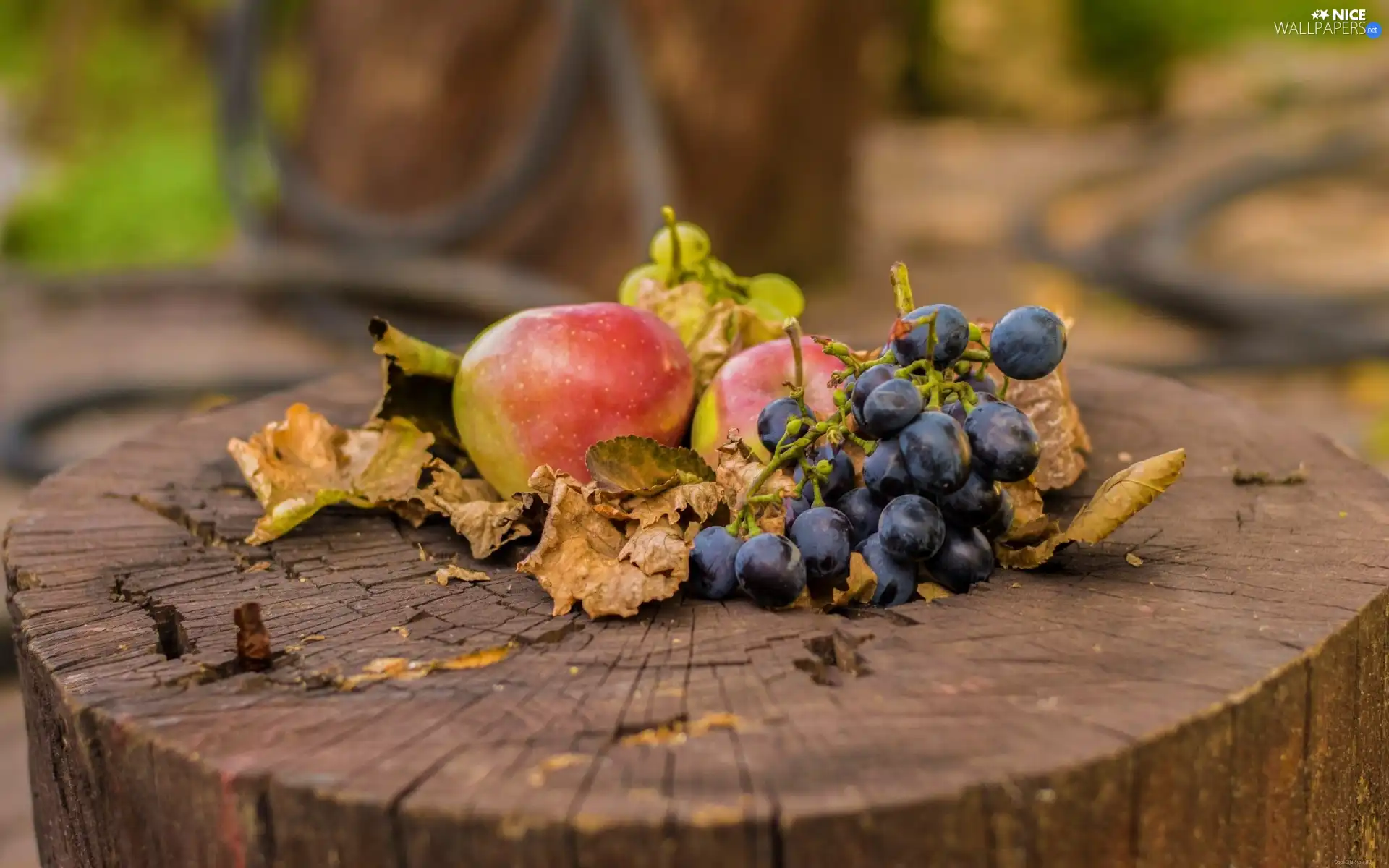 snag, grapes, Leaf, apples