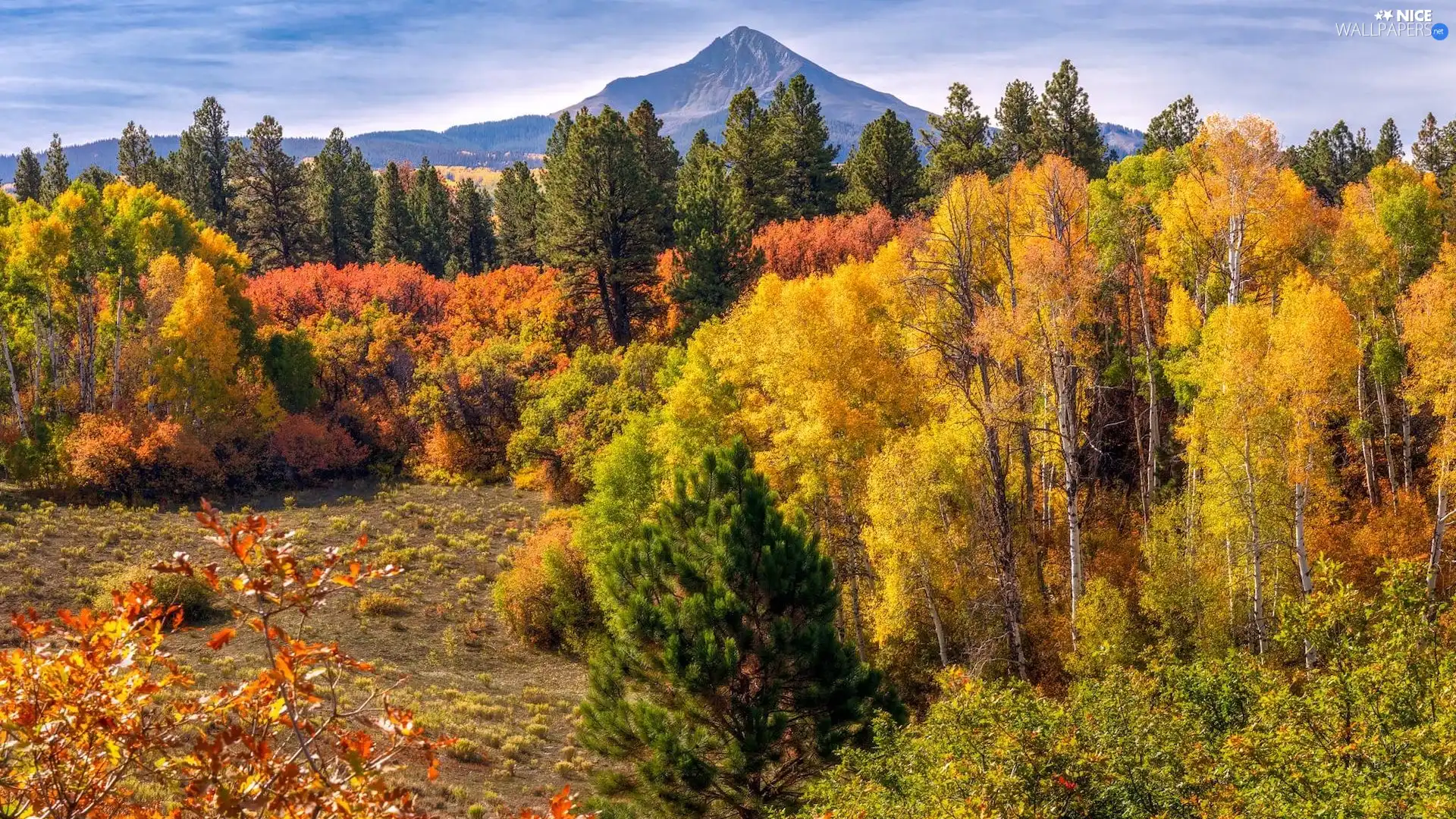 autumn, Leaf, trees, viewes, Mountains