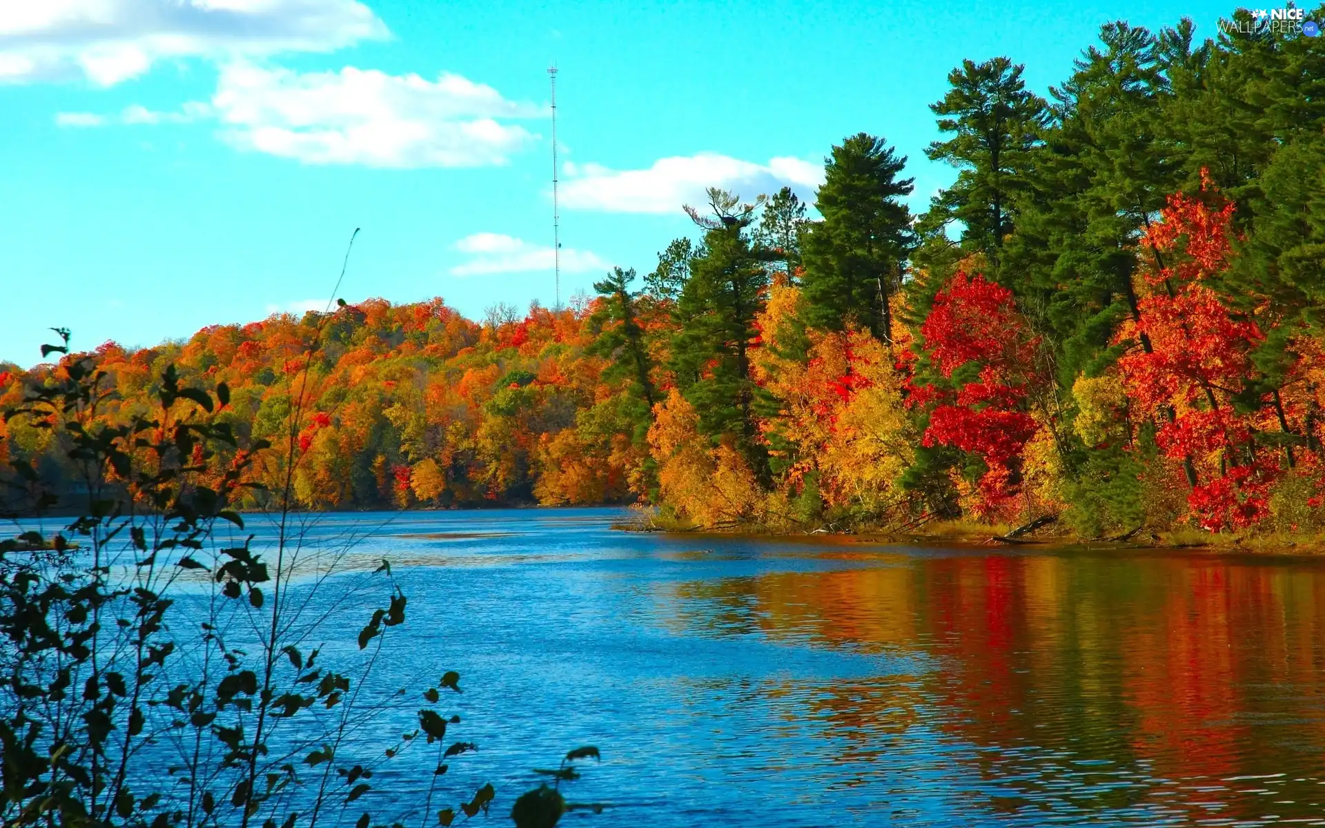 Leaf, water, viewes, color, trees