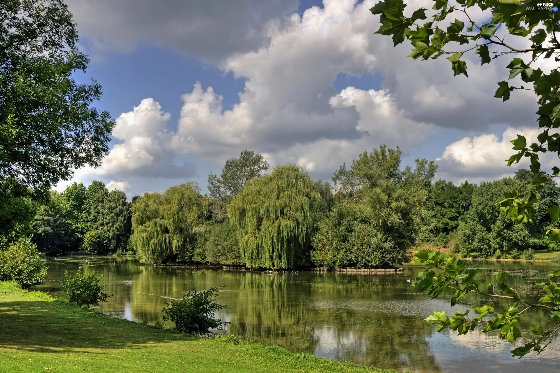 water, viewes, Leaf, trees