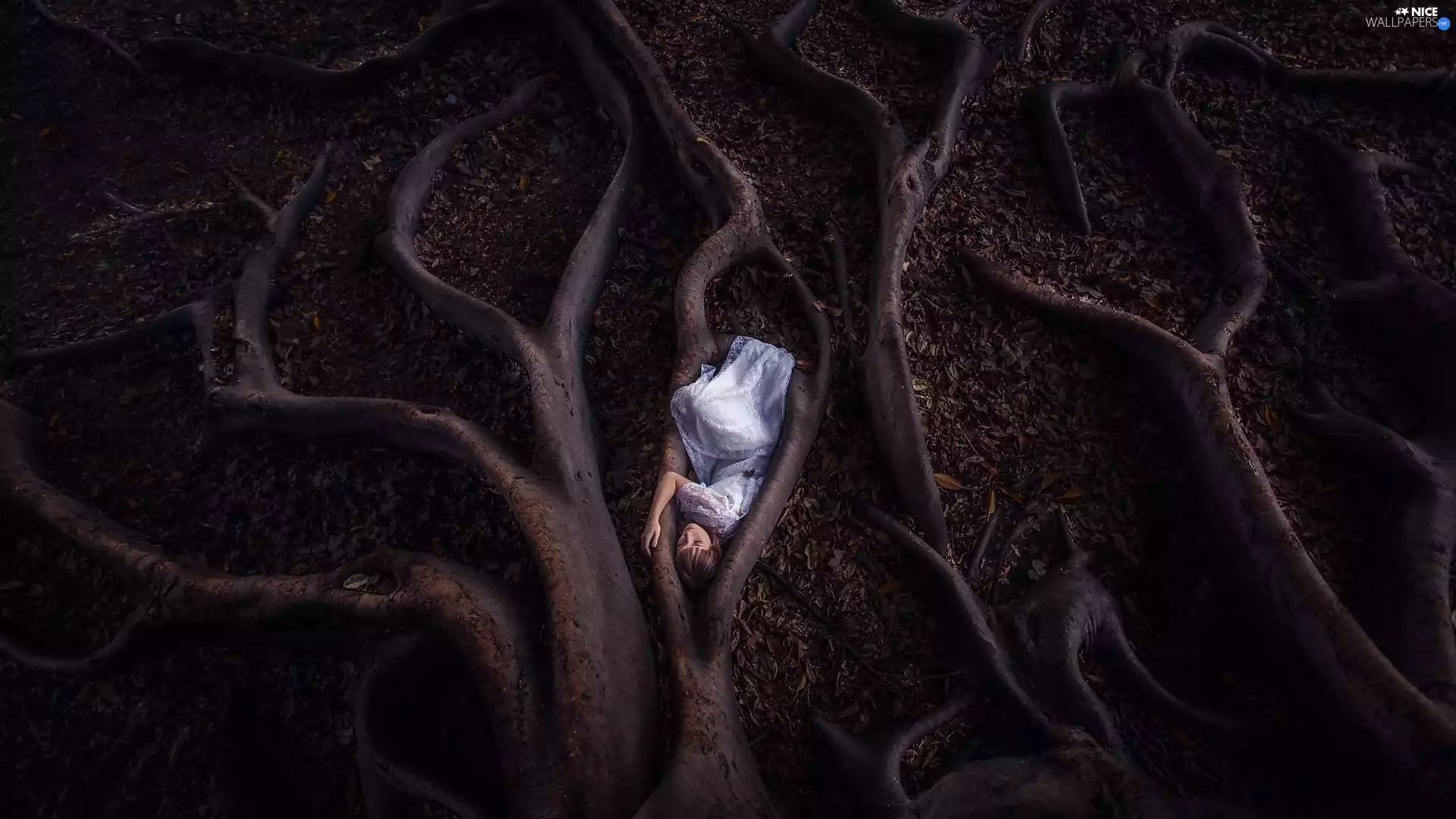 roots, Leaf, White, dress, girl
