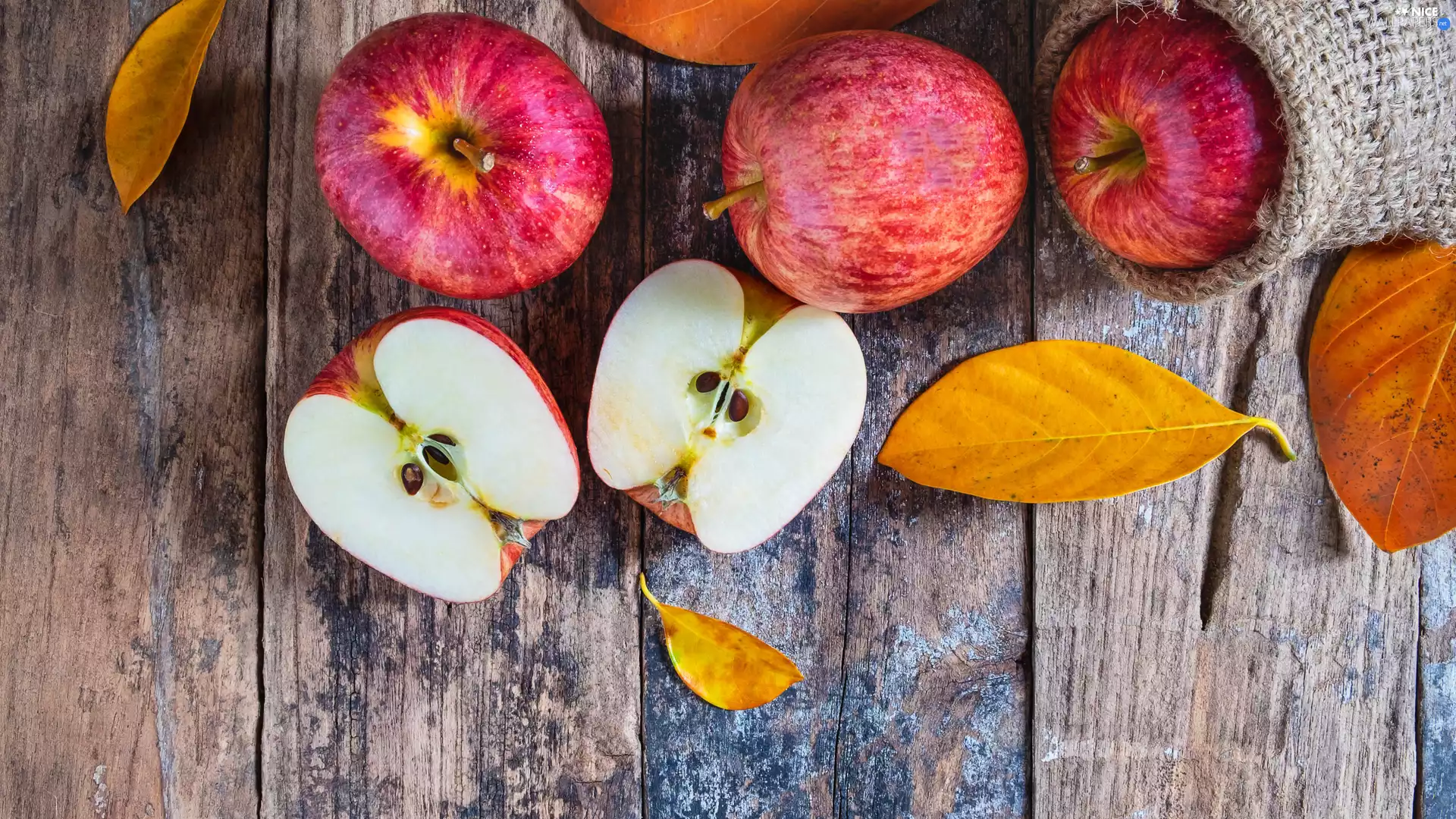 leaves, Red, apples