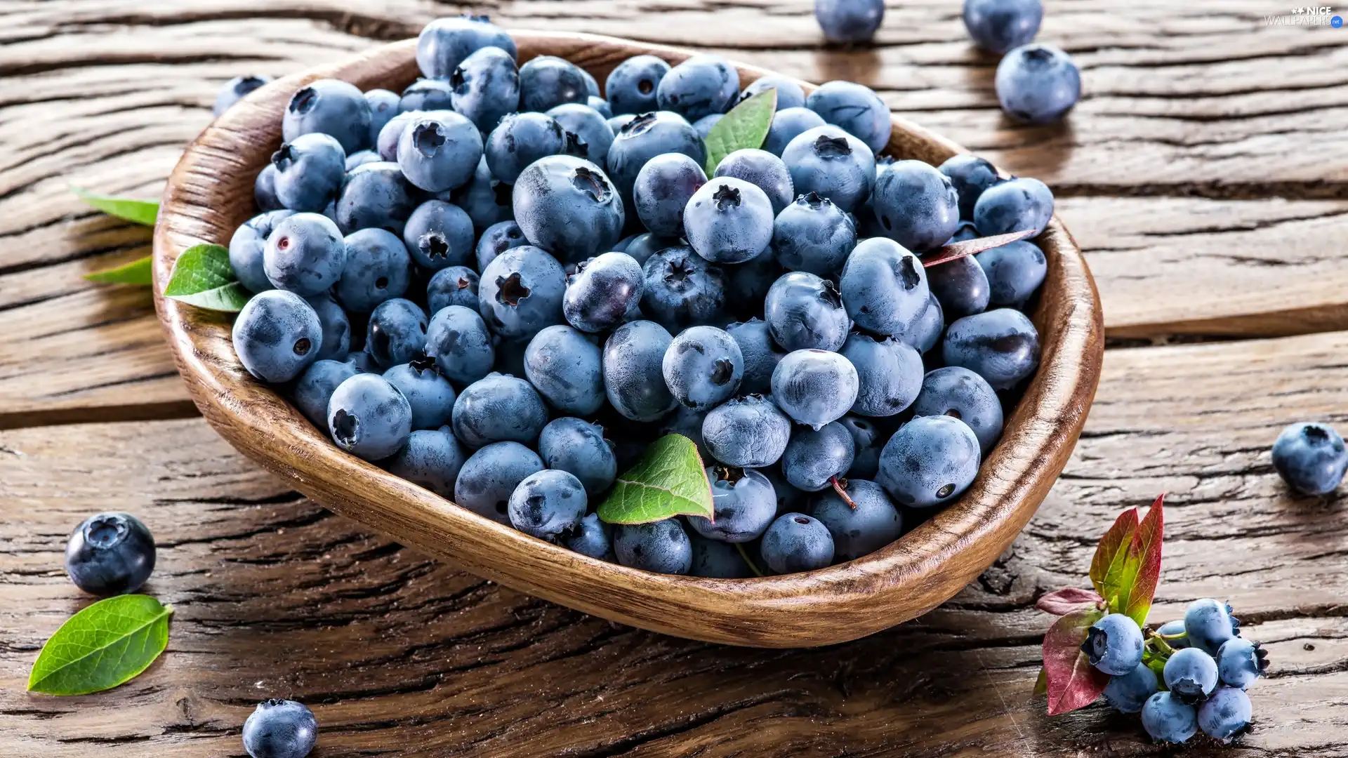 leaves, bowl, blueberries