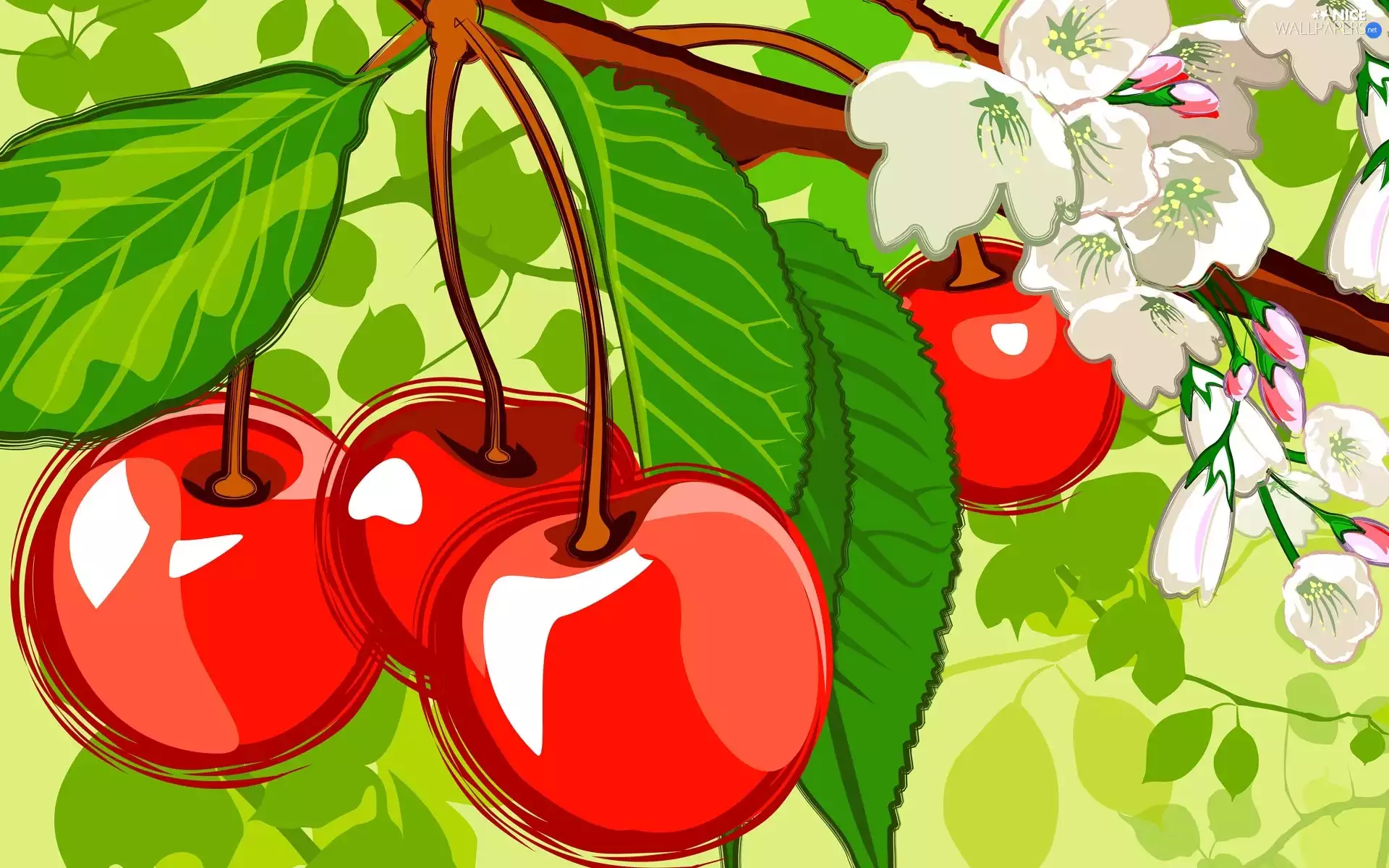 leaves, Fruits, cherries
