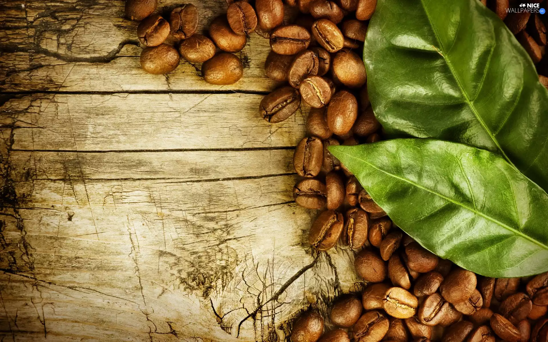 leaves, grains, coffee