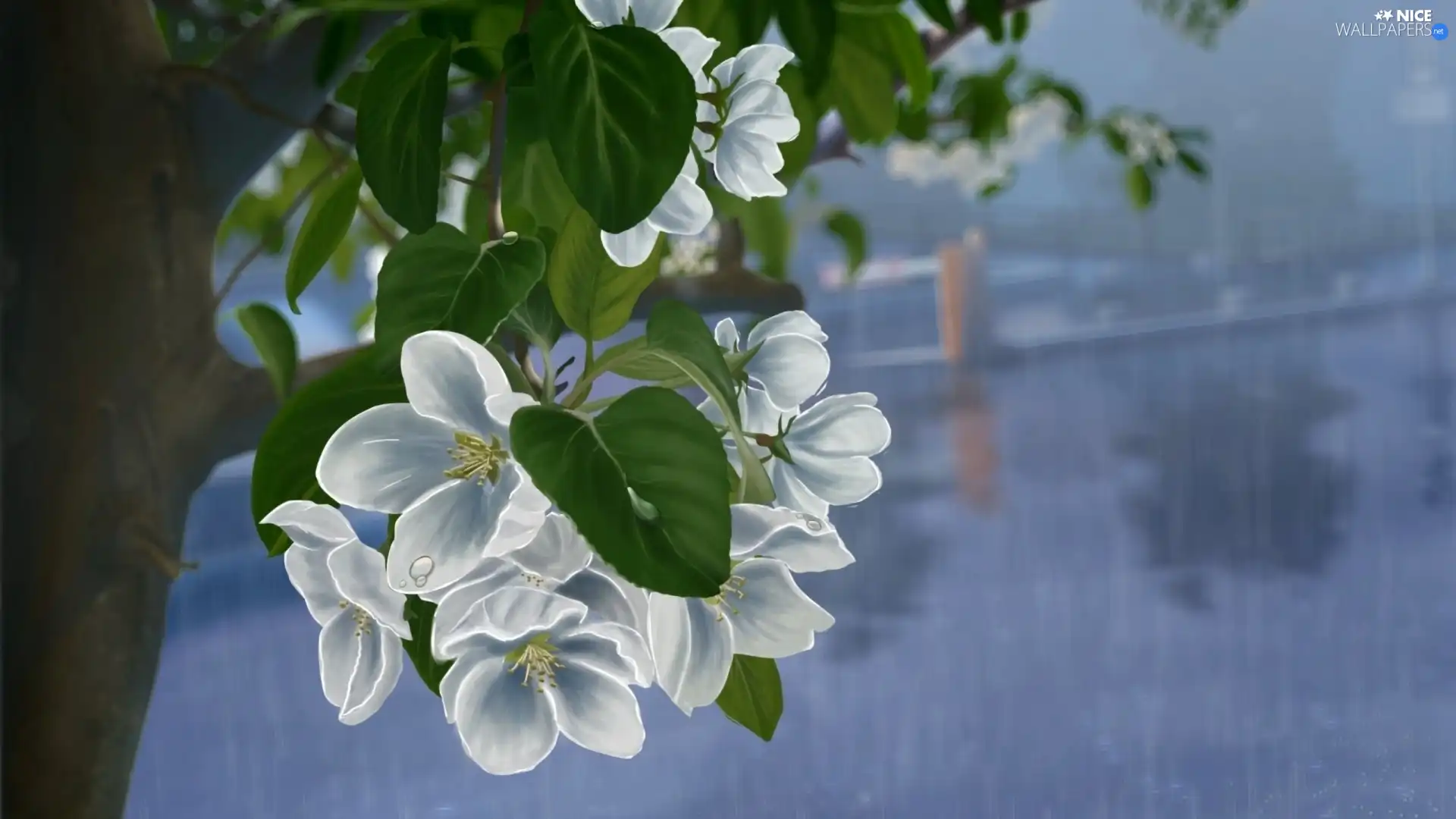 leaves, White, Flowers