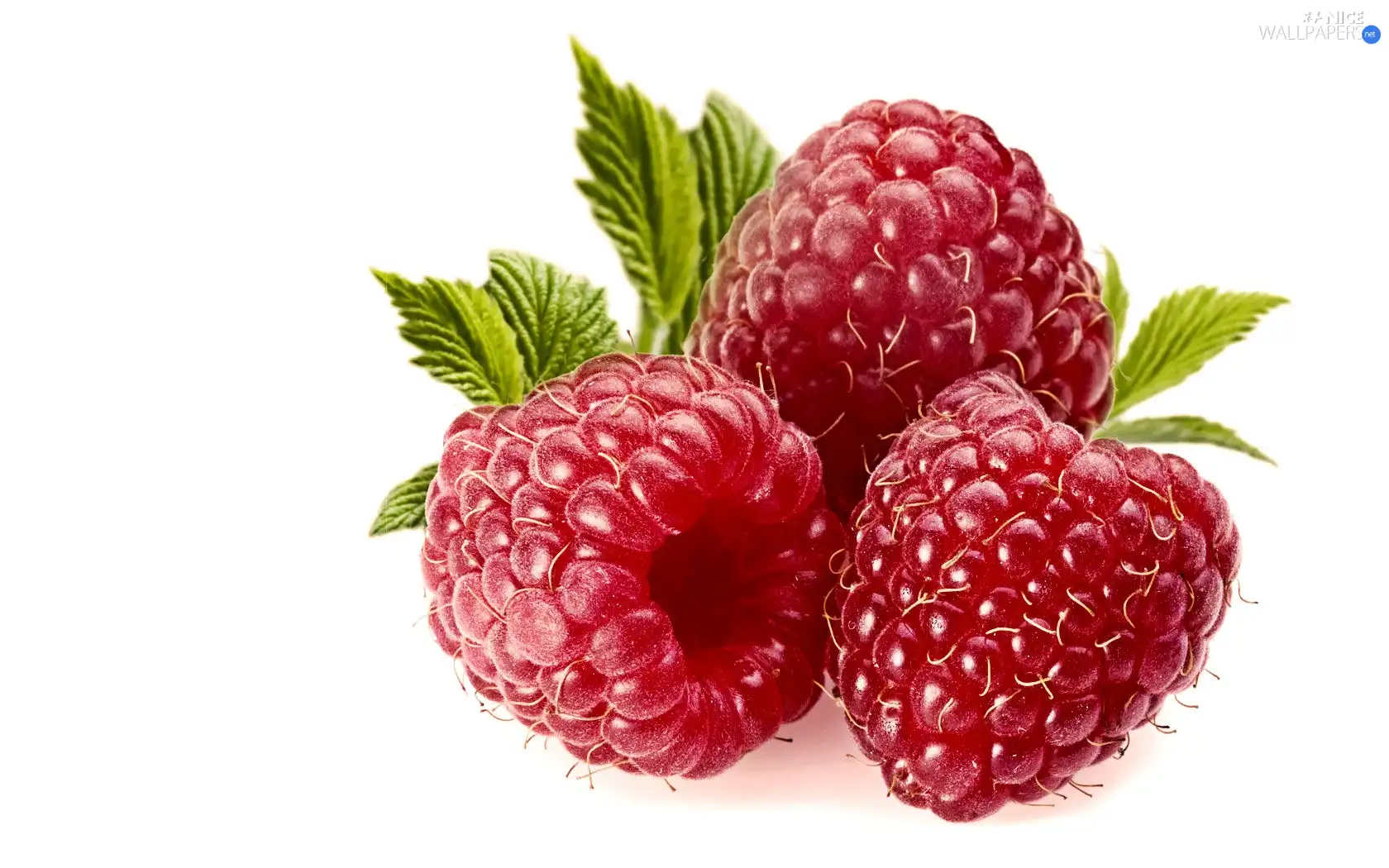 Fruits, green ones, leaves, raspberries