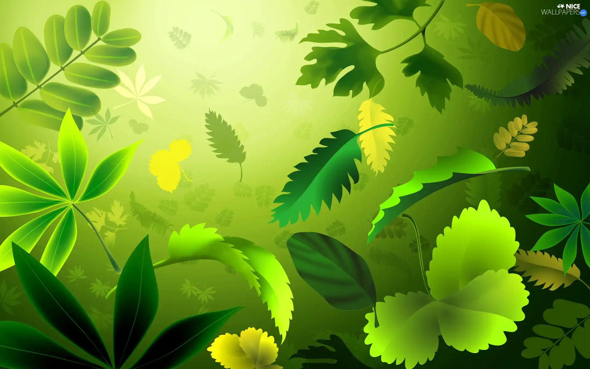 graphics, green ones, leaves