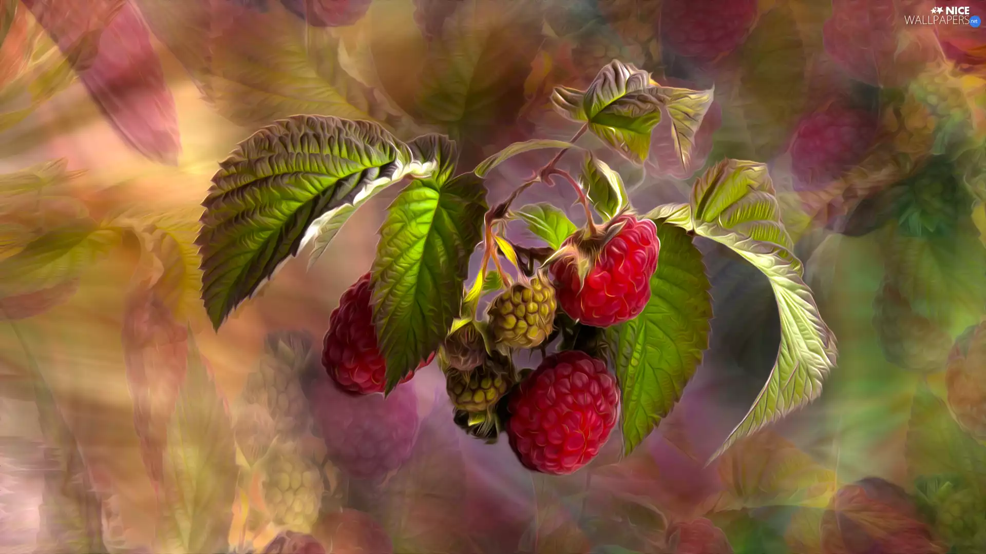 leaves, graphics, raspberries