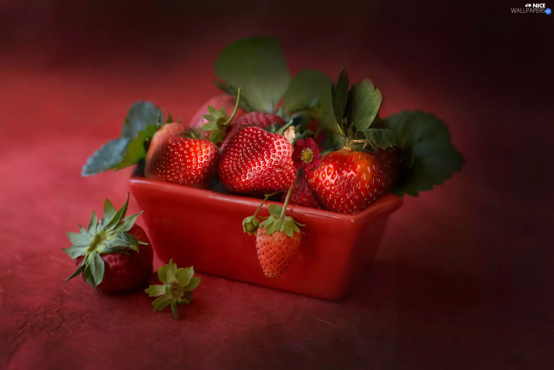 strawberries, Red, container, leaves