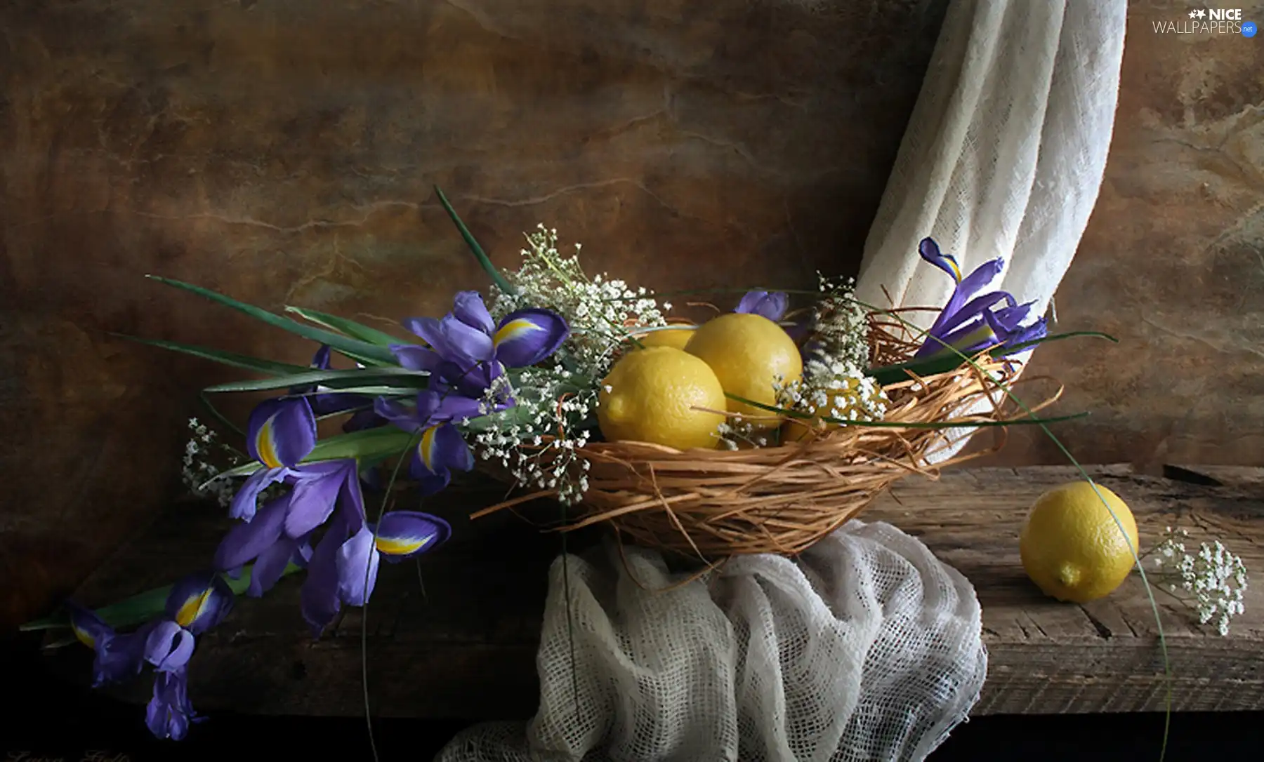 composition, Irises, lemons, Flowers