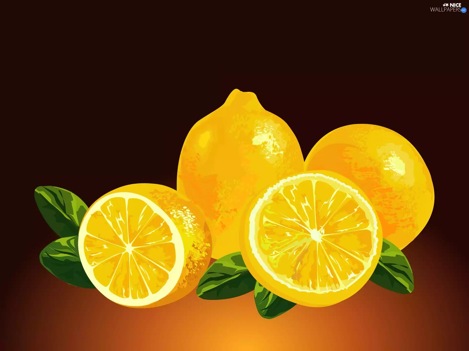 lemons, Drawing