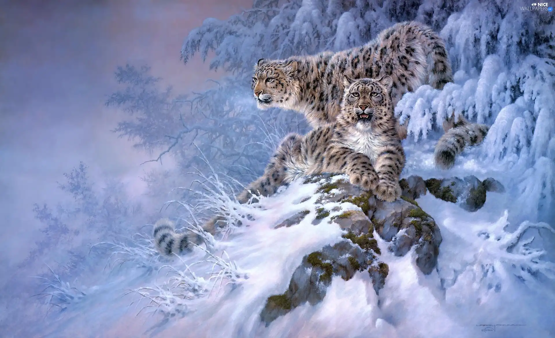 winter, Two cars, Irbisy