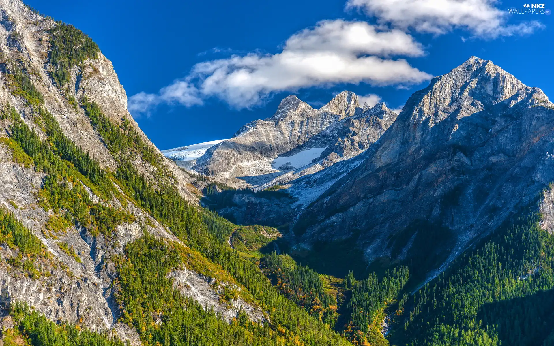 forest, ligh, shadow, sun, luminosity, canyon, Mountains, flash