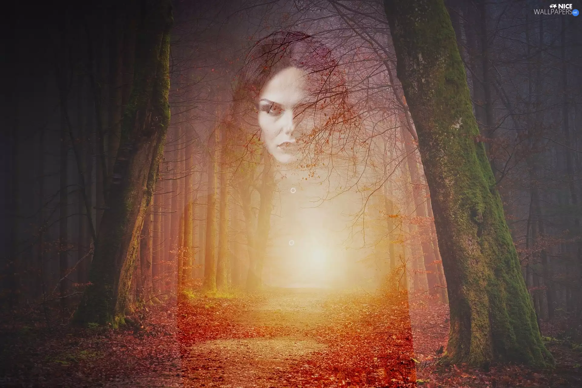 ligh, Women, trees, flash, viewes, graphics, forest, luminosity, sun, Way