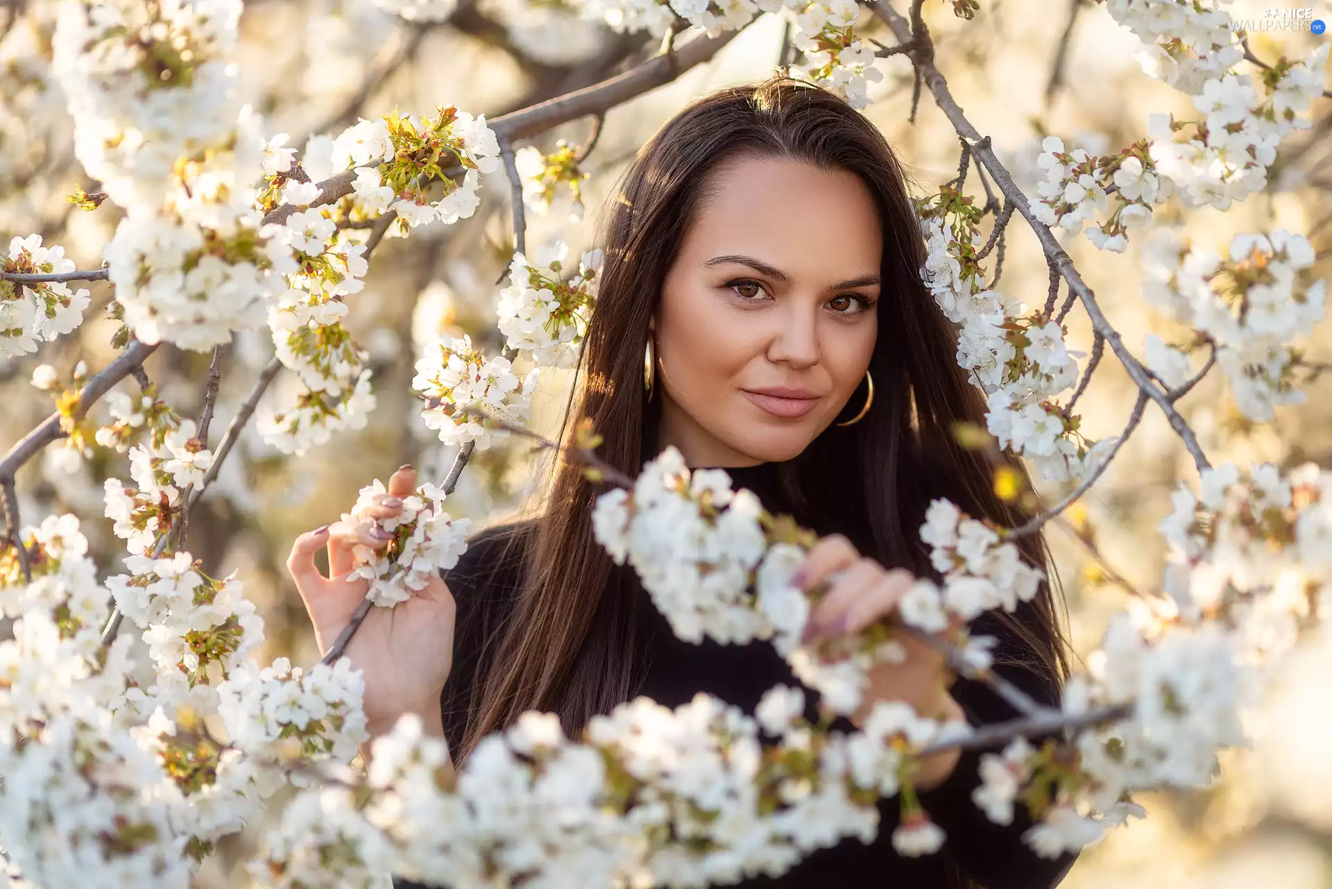 Flowers, Fruit Tree, light brown, Twigs, girl
