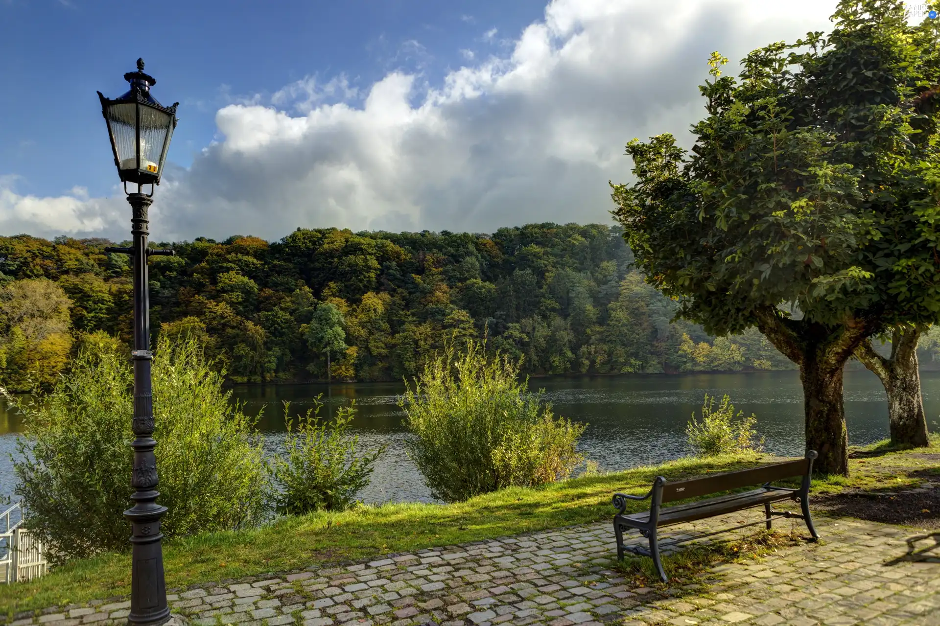 viewes, River, Lighthouse, autumn, Bench, trees