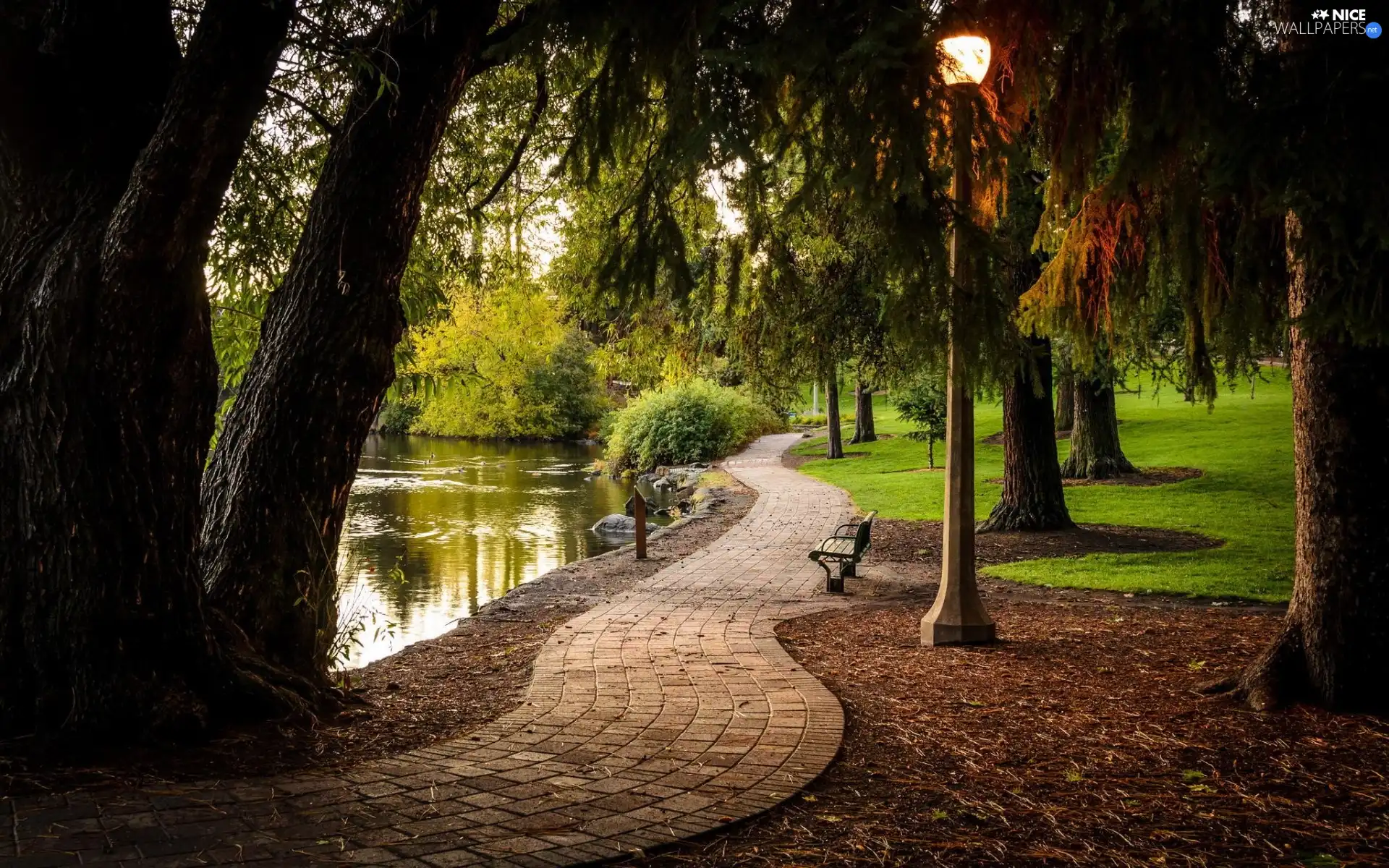 Lighthouse, bench, lane, Pond - car, Park