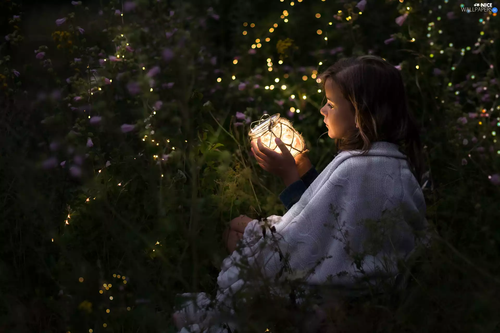 lights, girl, lantern