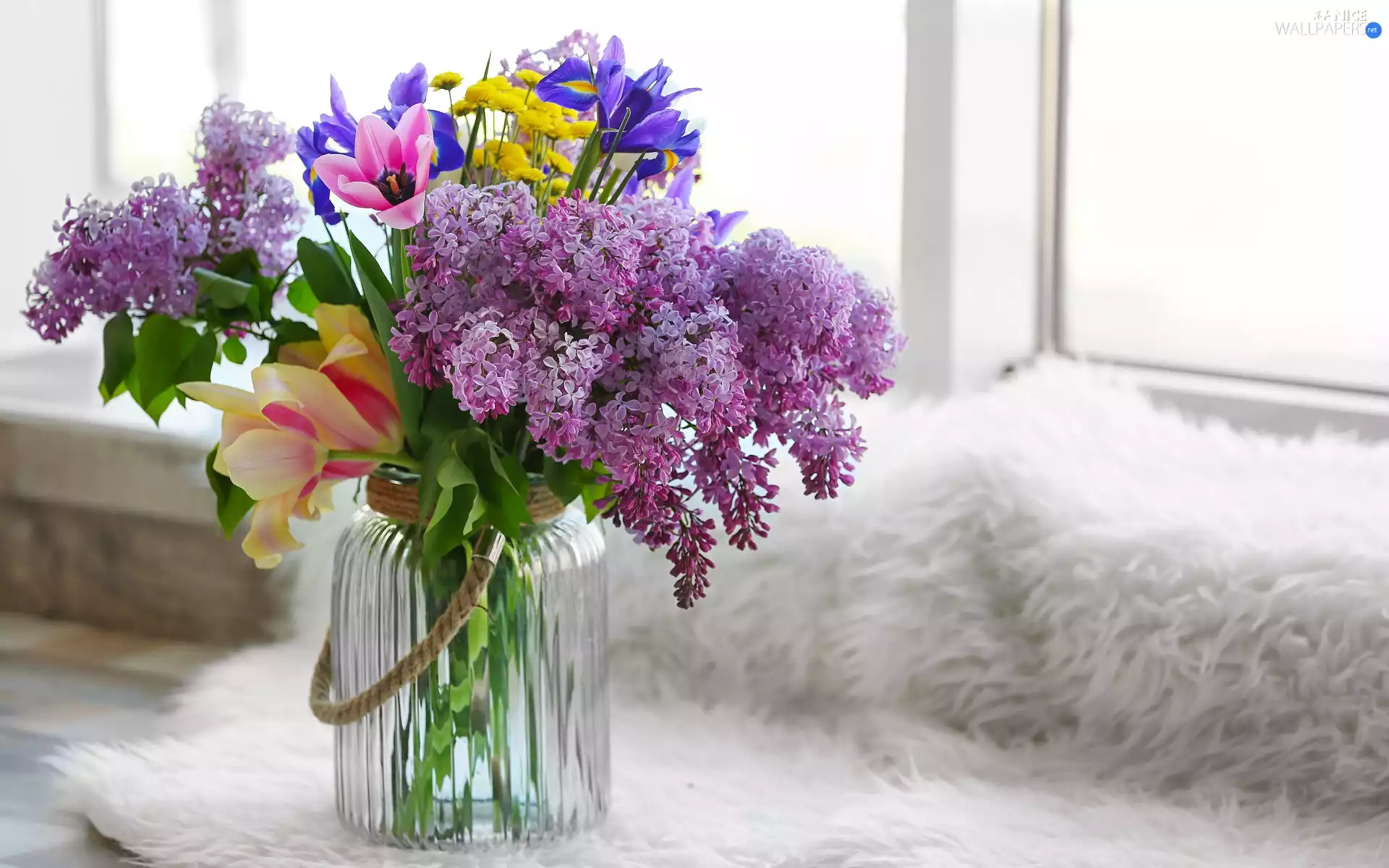 Tulips, Flowers, jar, Lilacs, bouquet, Irises, Window