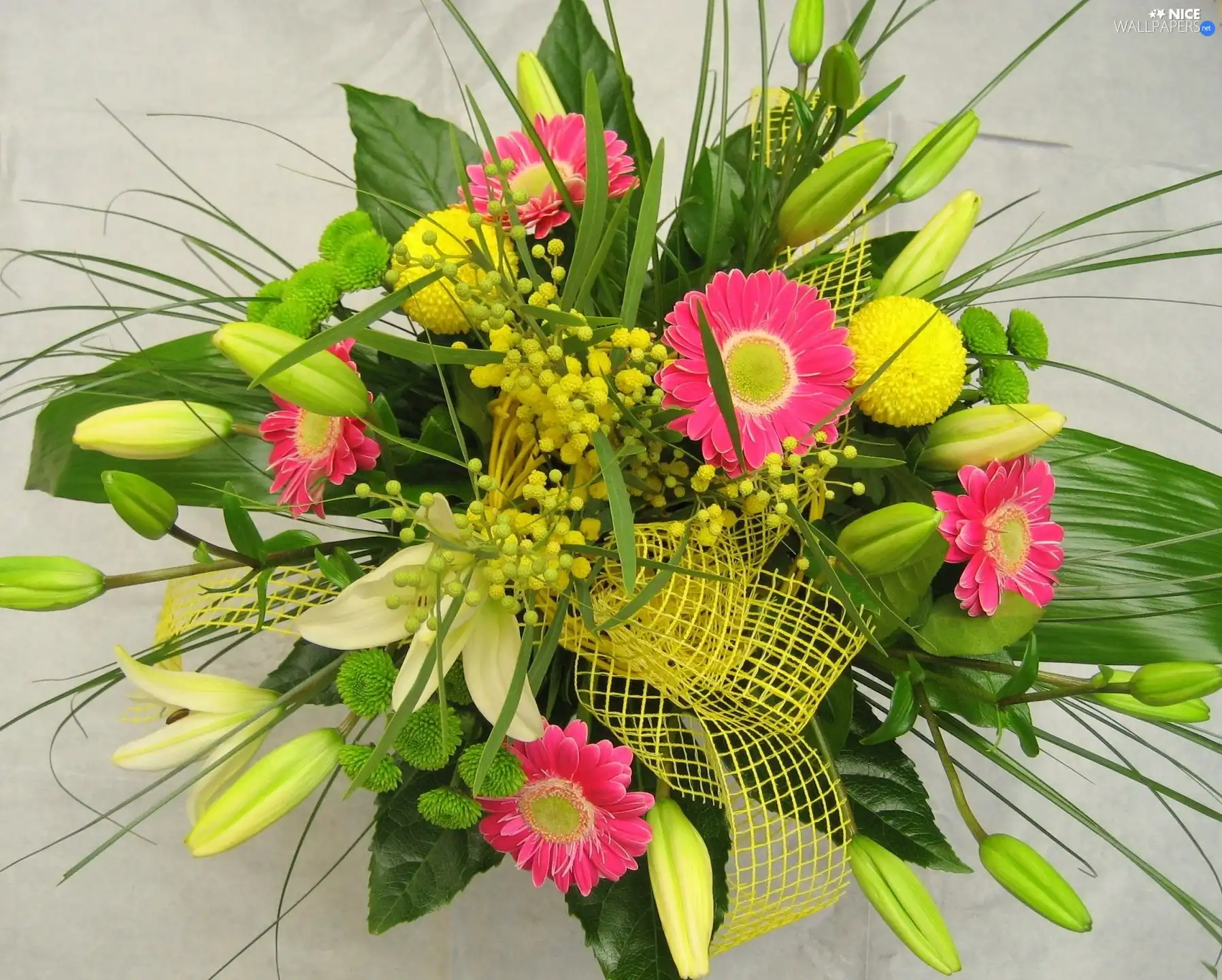 color, gerberas, lilies, bouquet