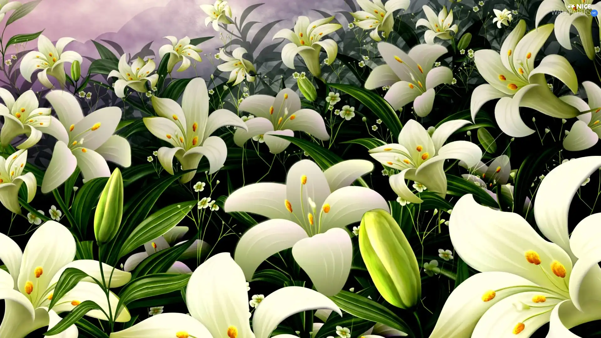 easter, White, Lily, Flowers