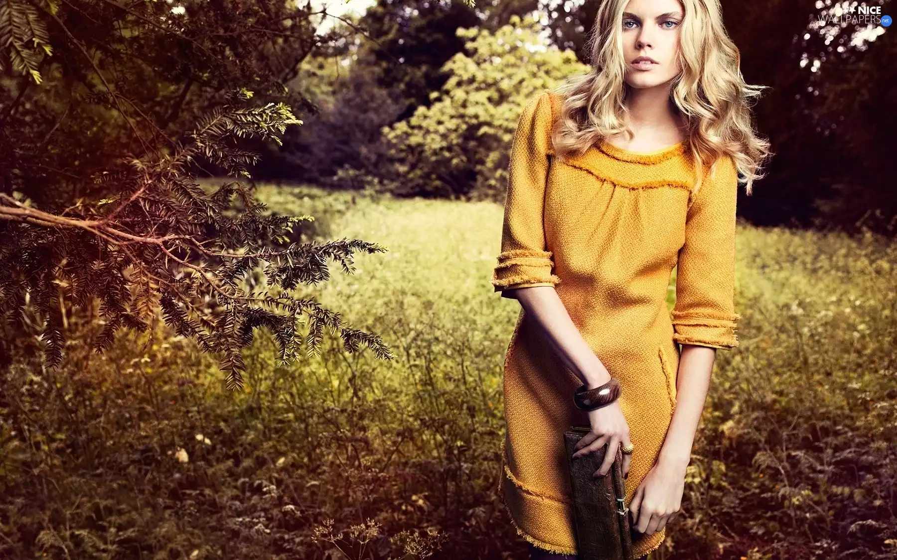 Maryna Linchuk, Honey, dress, Purse