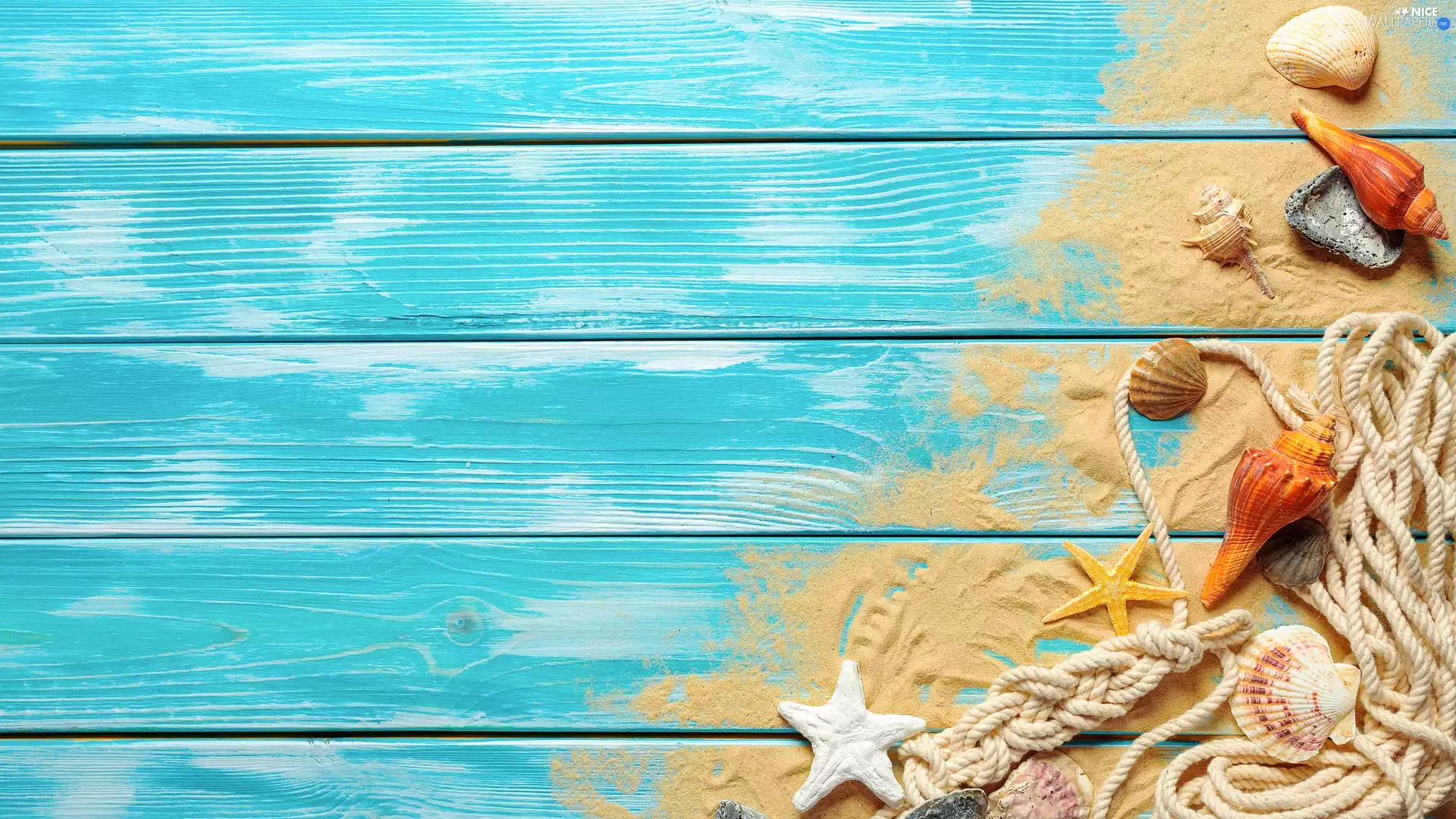 Sand, Shells, boarding, line, starfish, Blue, composition