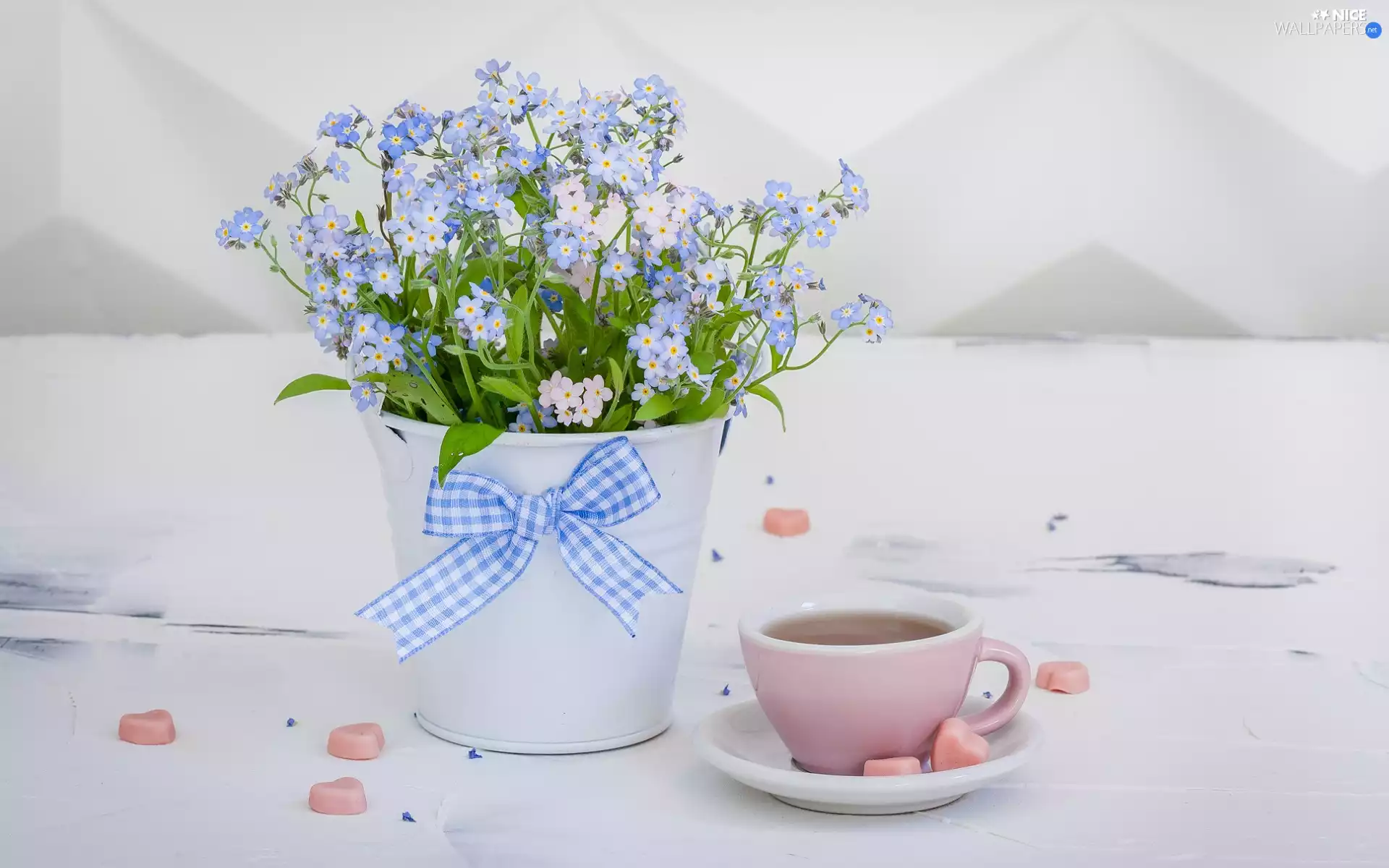 cup, lipstick, Forget, pot, bouquet