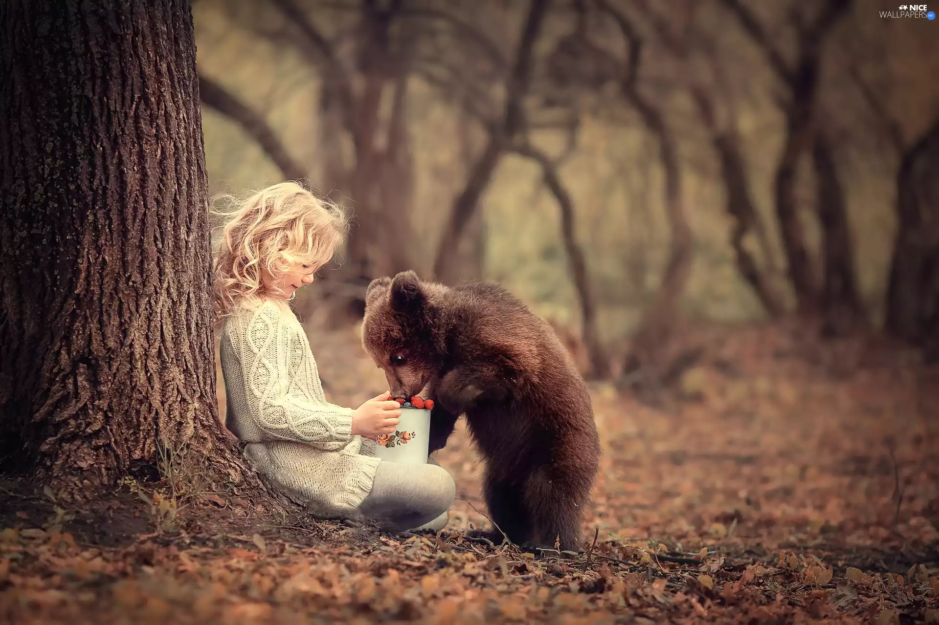 girl, trees, Fruits, little bear, mug, forest