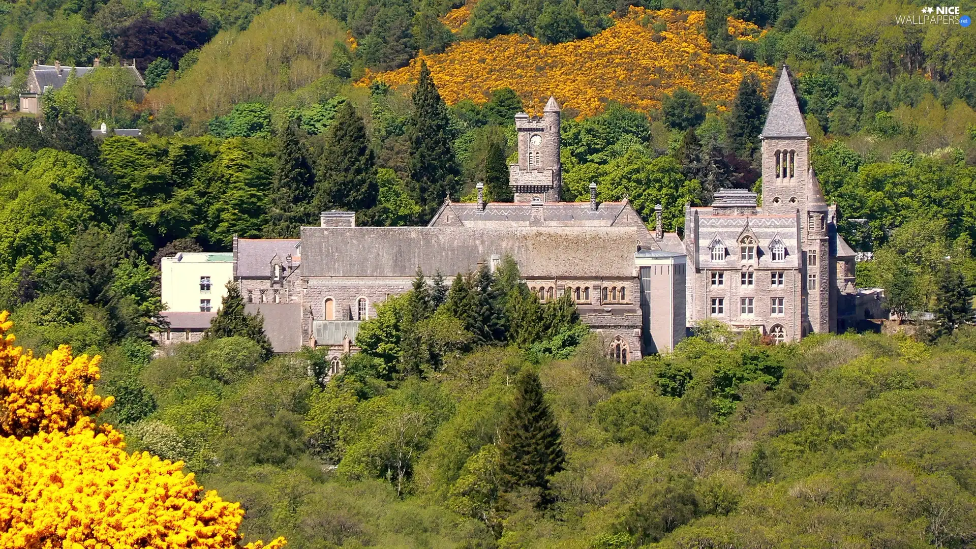 Scotland, by, Loch Ness, Castle