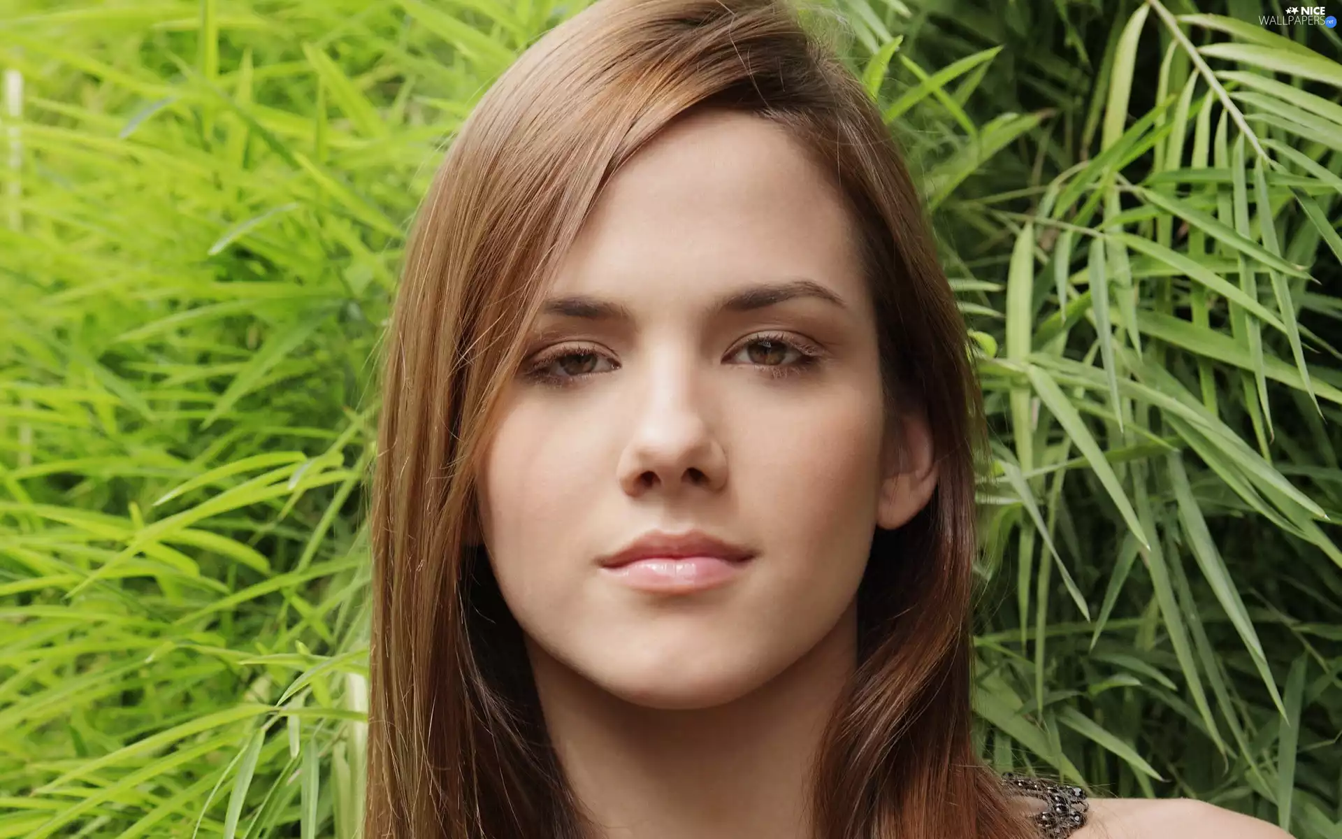 Roberta Murgo, The look, green, Charming