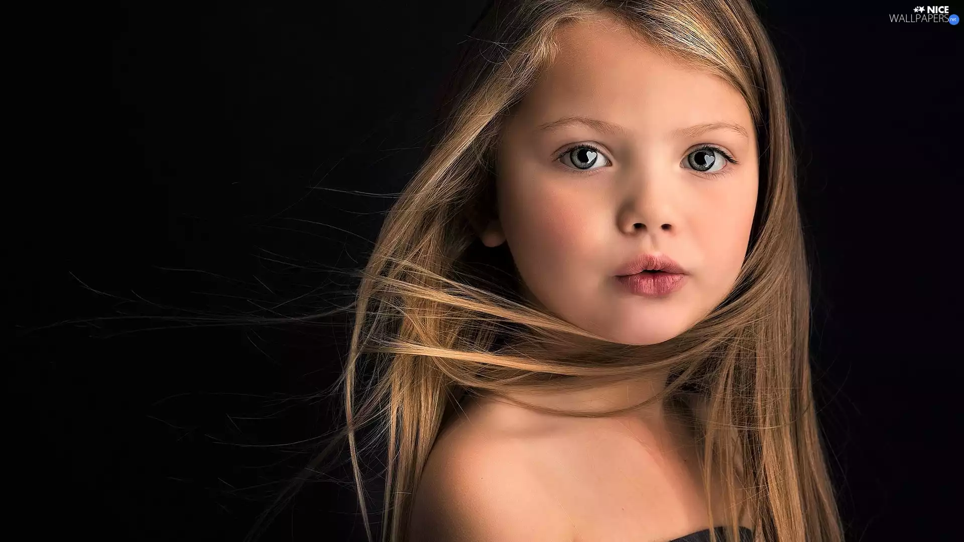 portrait, girl, The look